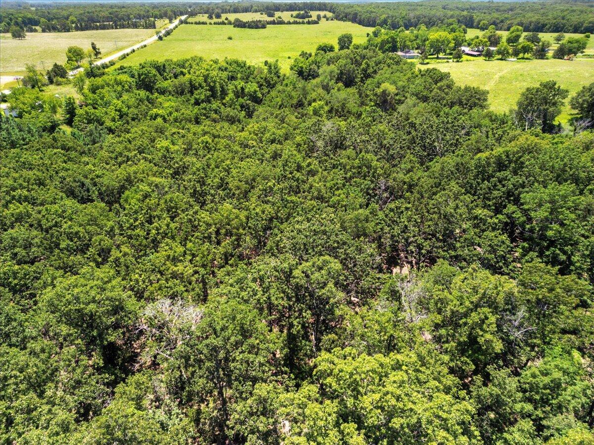 000 Highway 17 Property Photo 10
