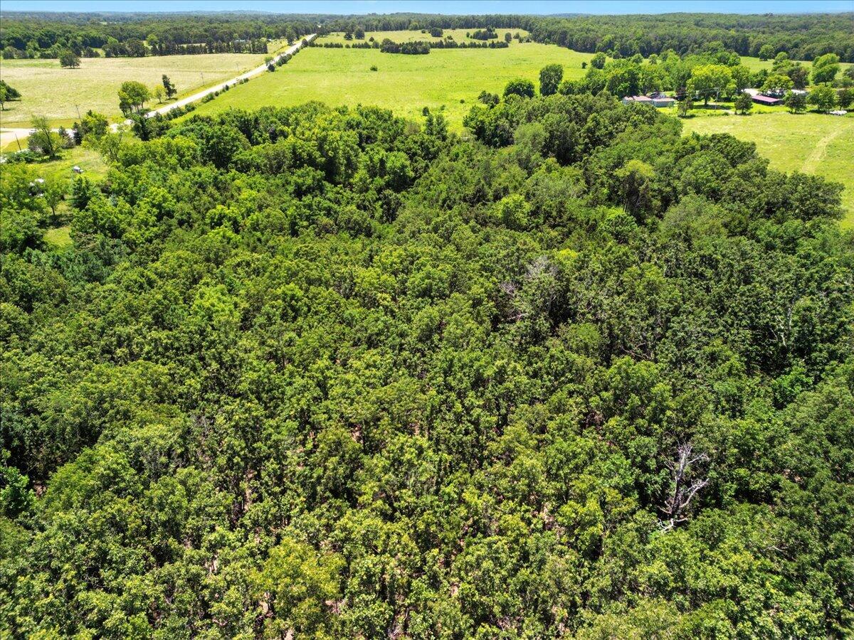 000 Highway 17 Property Photo 11