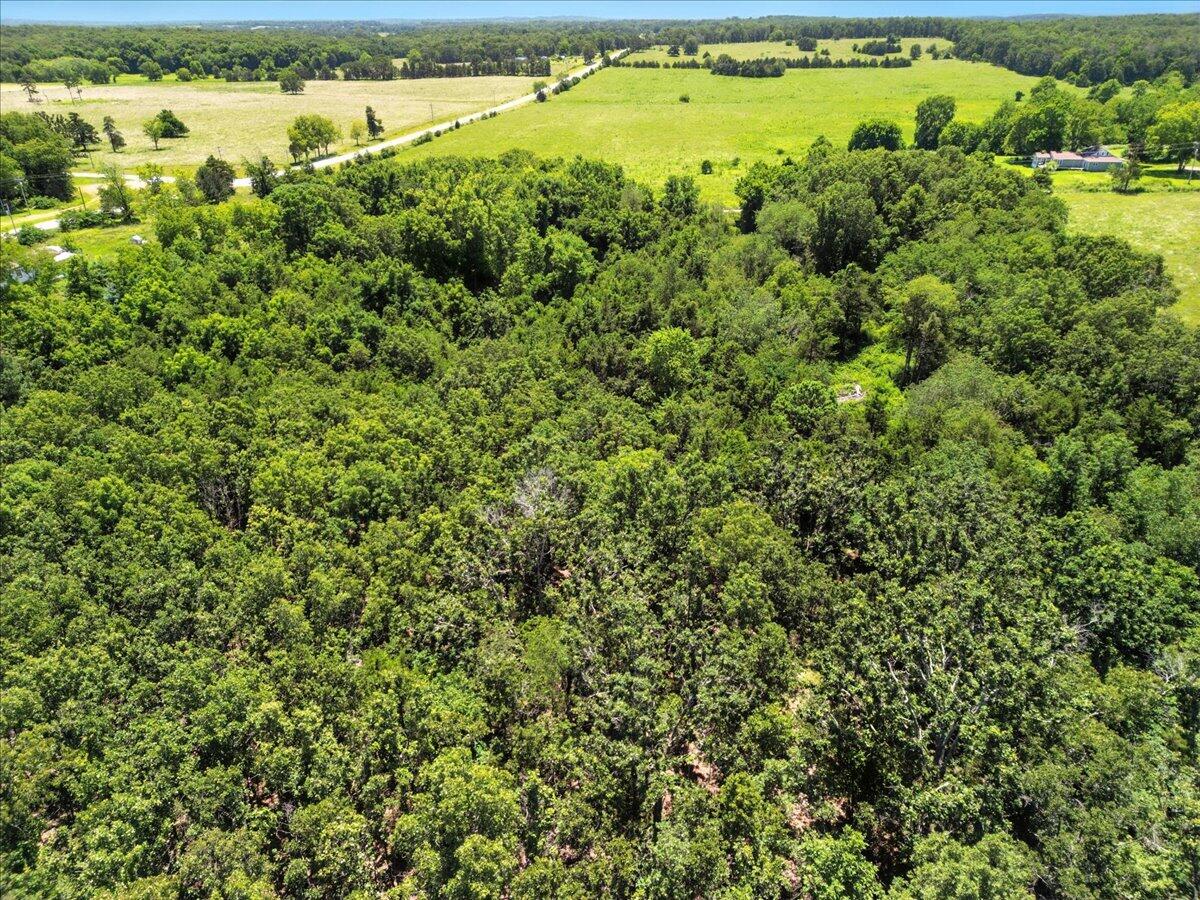 000 Highway 17 Property Photo 12