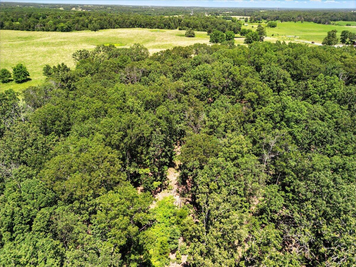 000 Highway 17 Property Photo 13