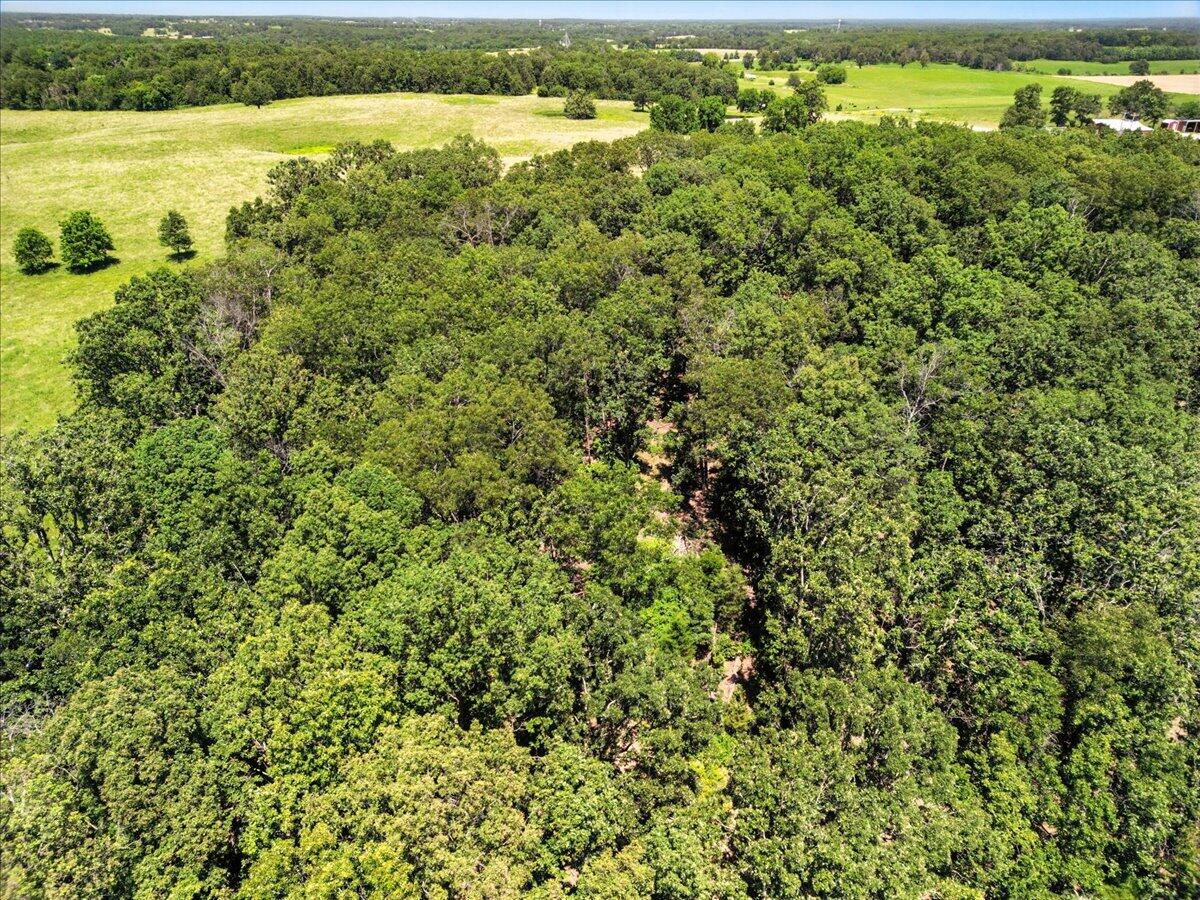 000 Highway 17 Property Photo 14