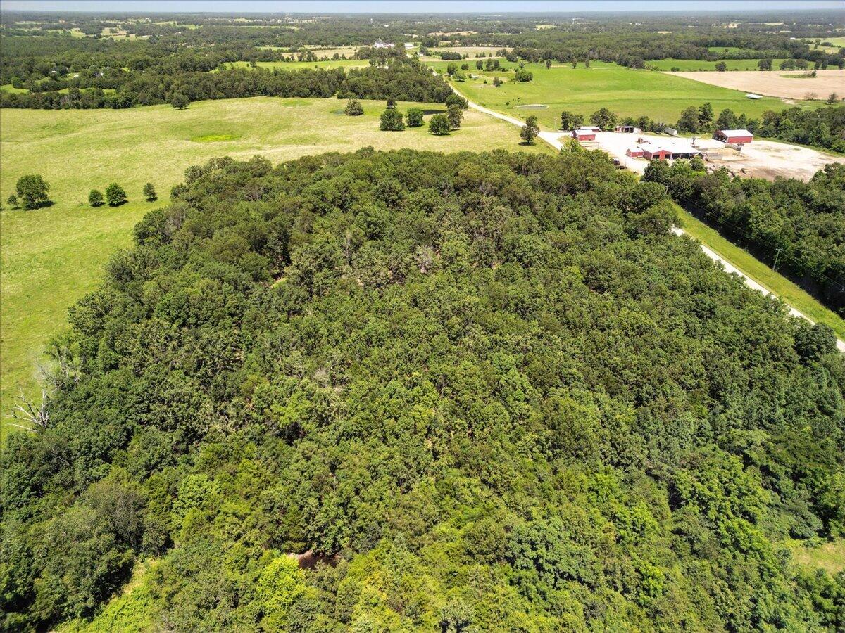 000 Highway 17 Property Photo 16