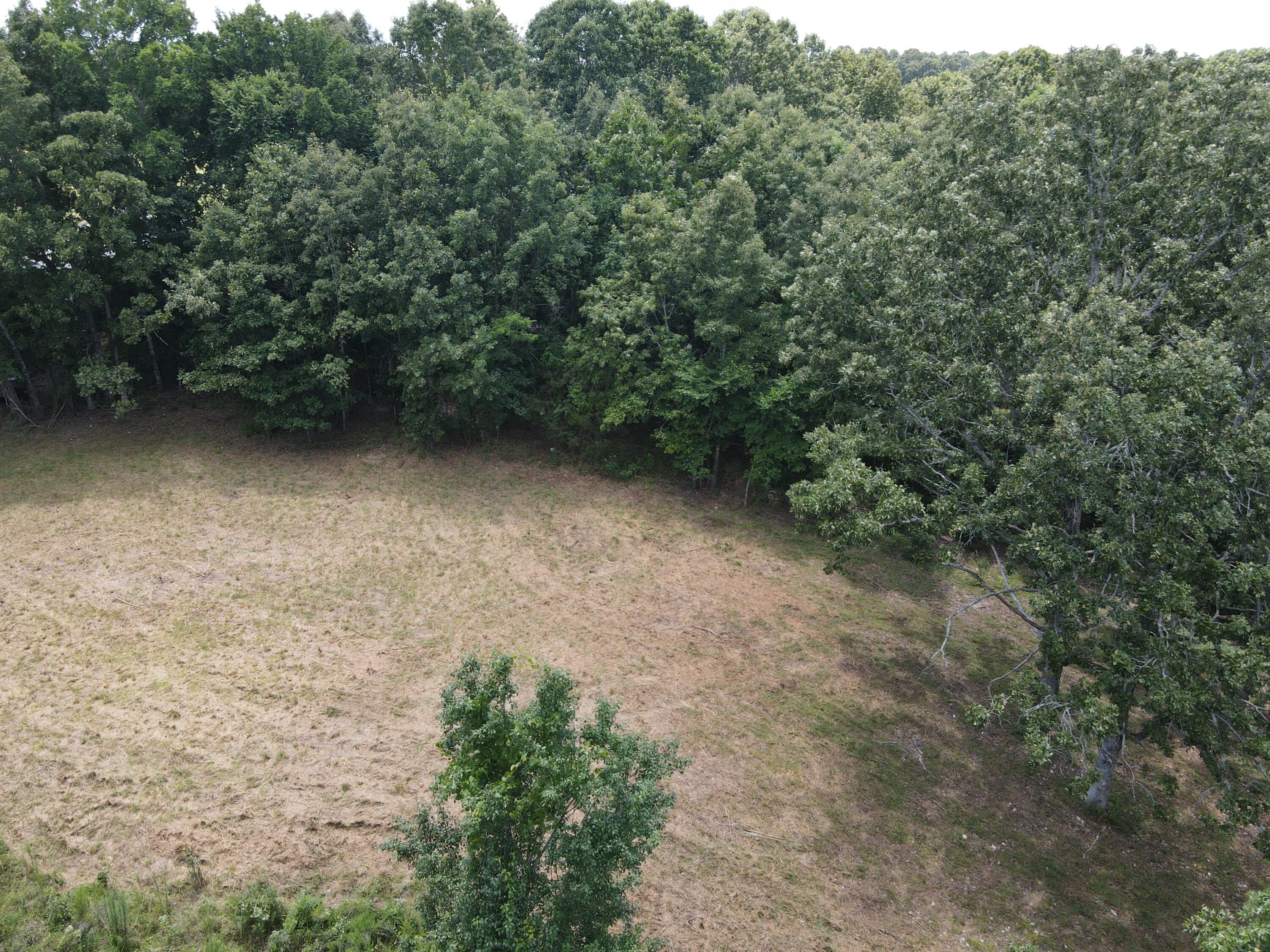 000 County Road 359 Property Photo 7