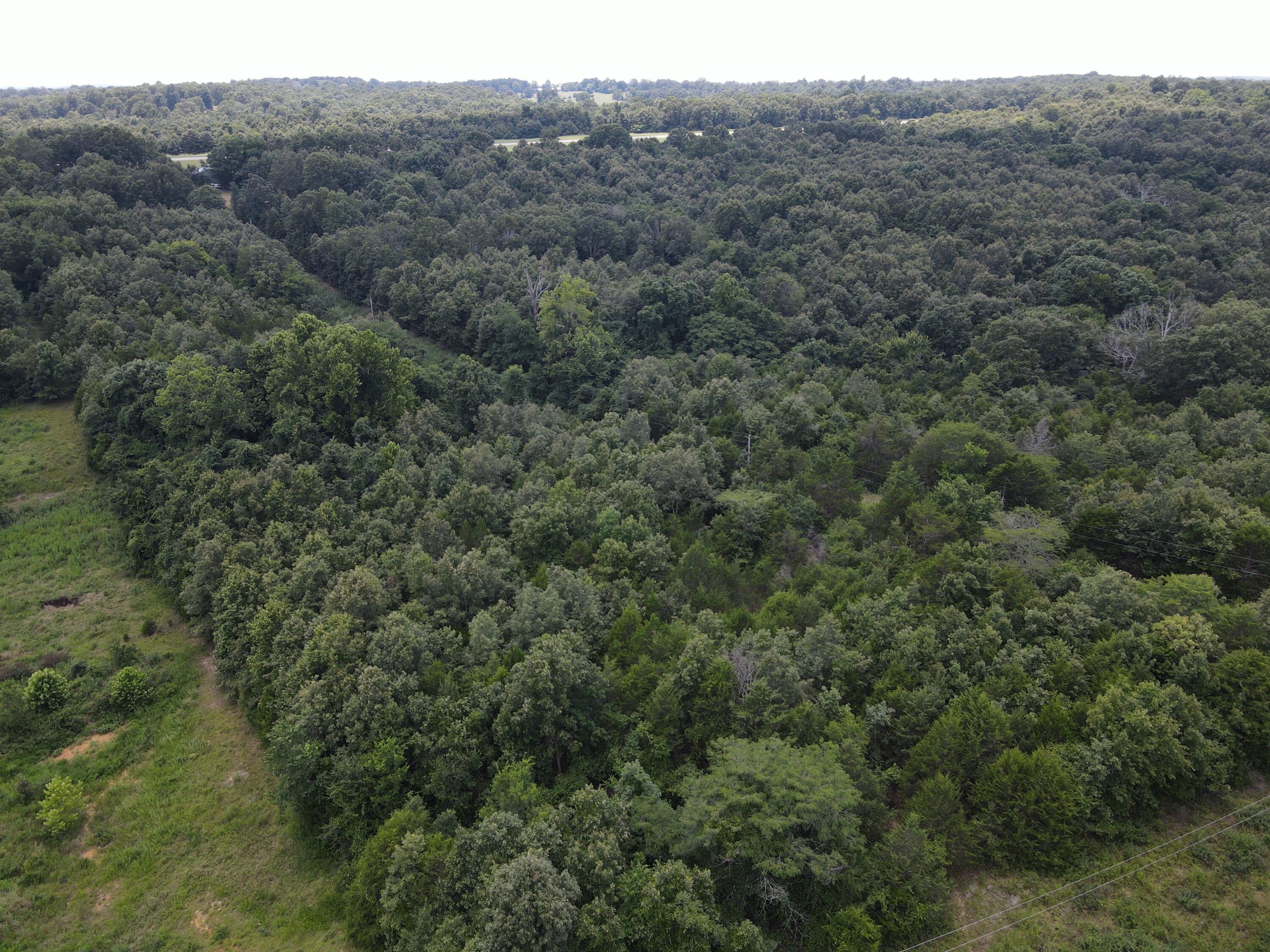 000 County Road 359 Property Photo 11