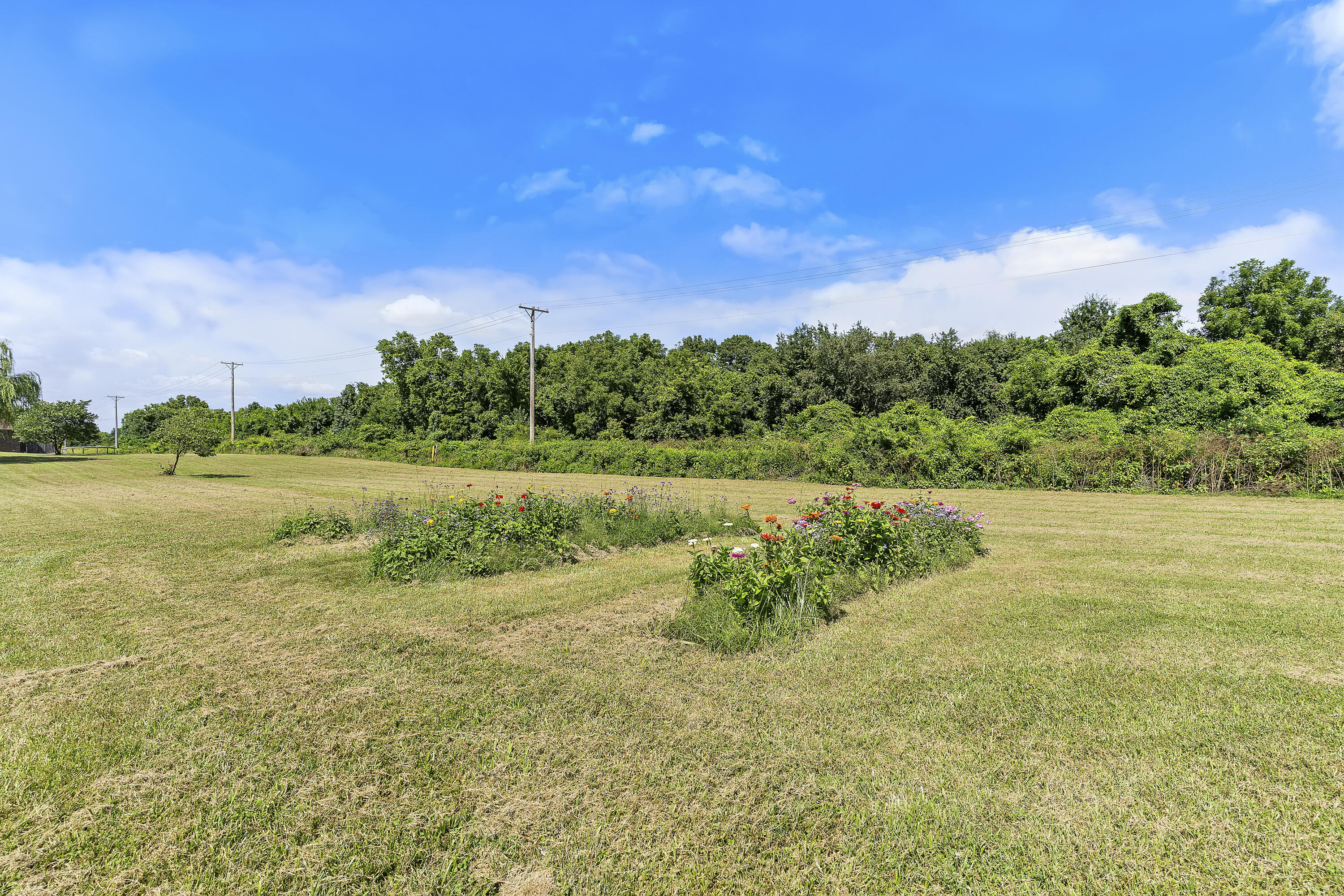 7103 West Farm Road 94 Property Photo 4
