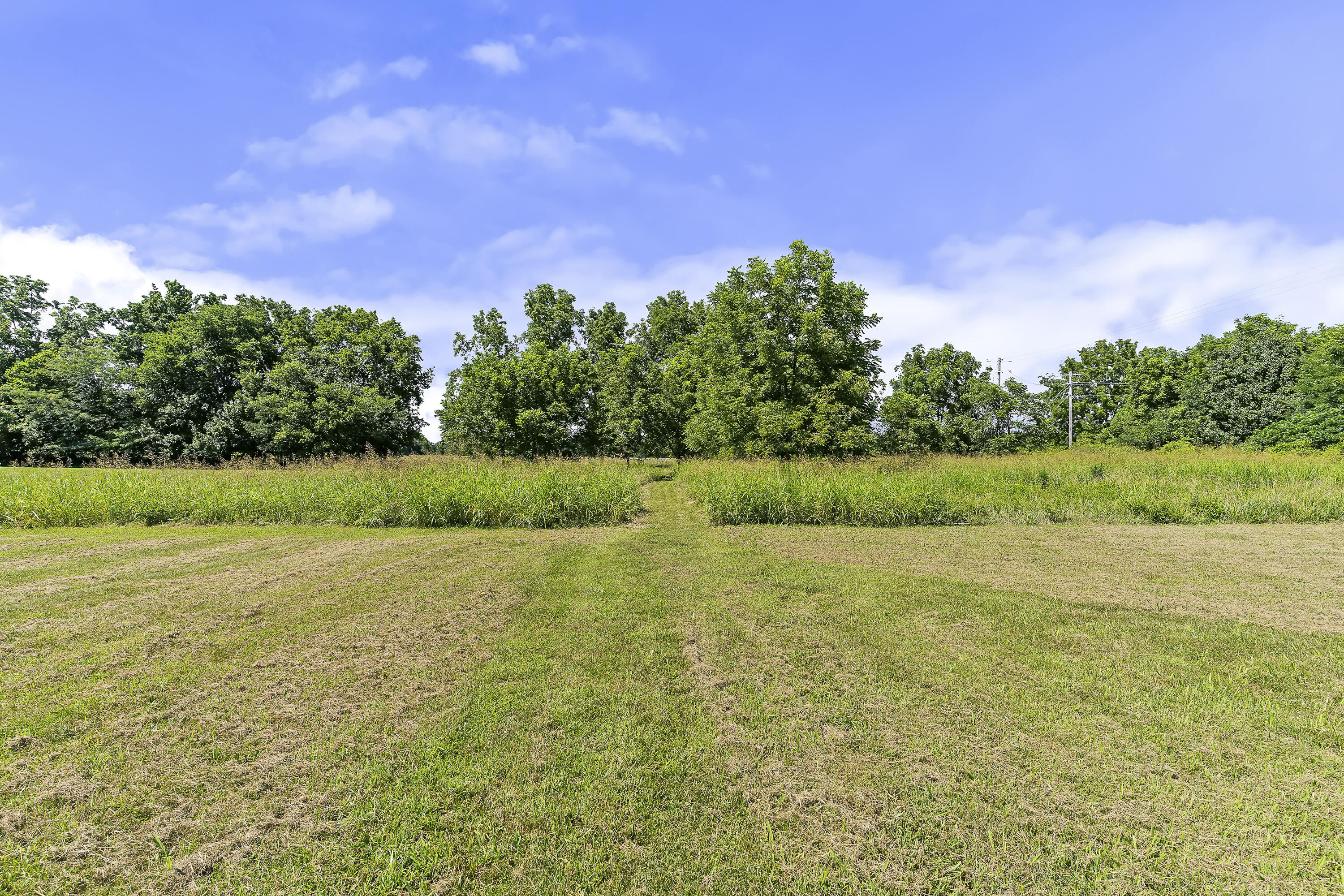 7103 West Farm Road 94 Property Photo 57