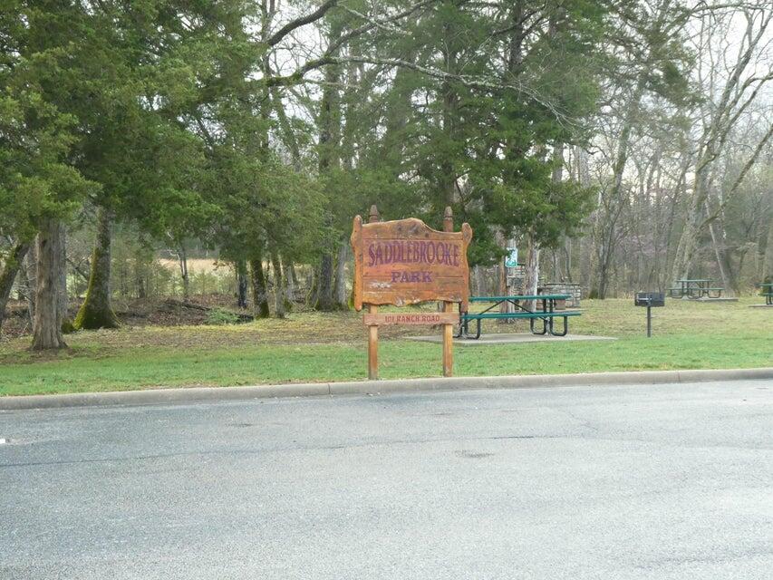 148 Appaloosa Trail Property Photo 43