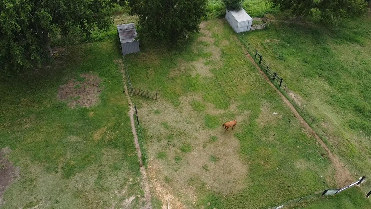 13546 Highway F Property Photo 14