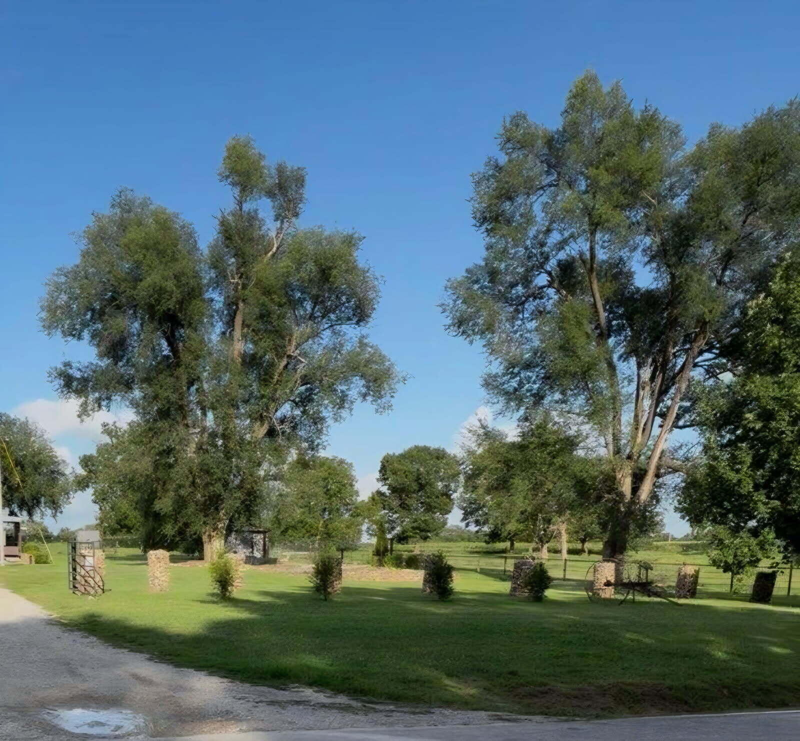 13546 Highway F Property Photo 18