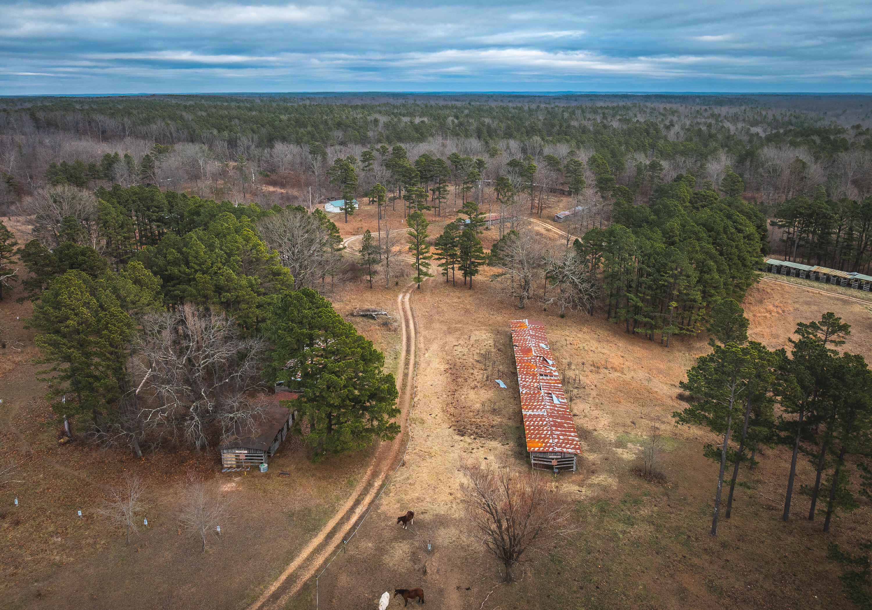 000 Golden Drive Property Photo 8