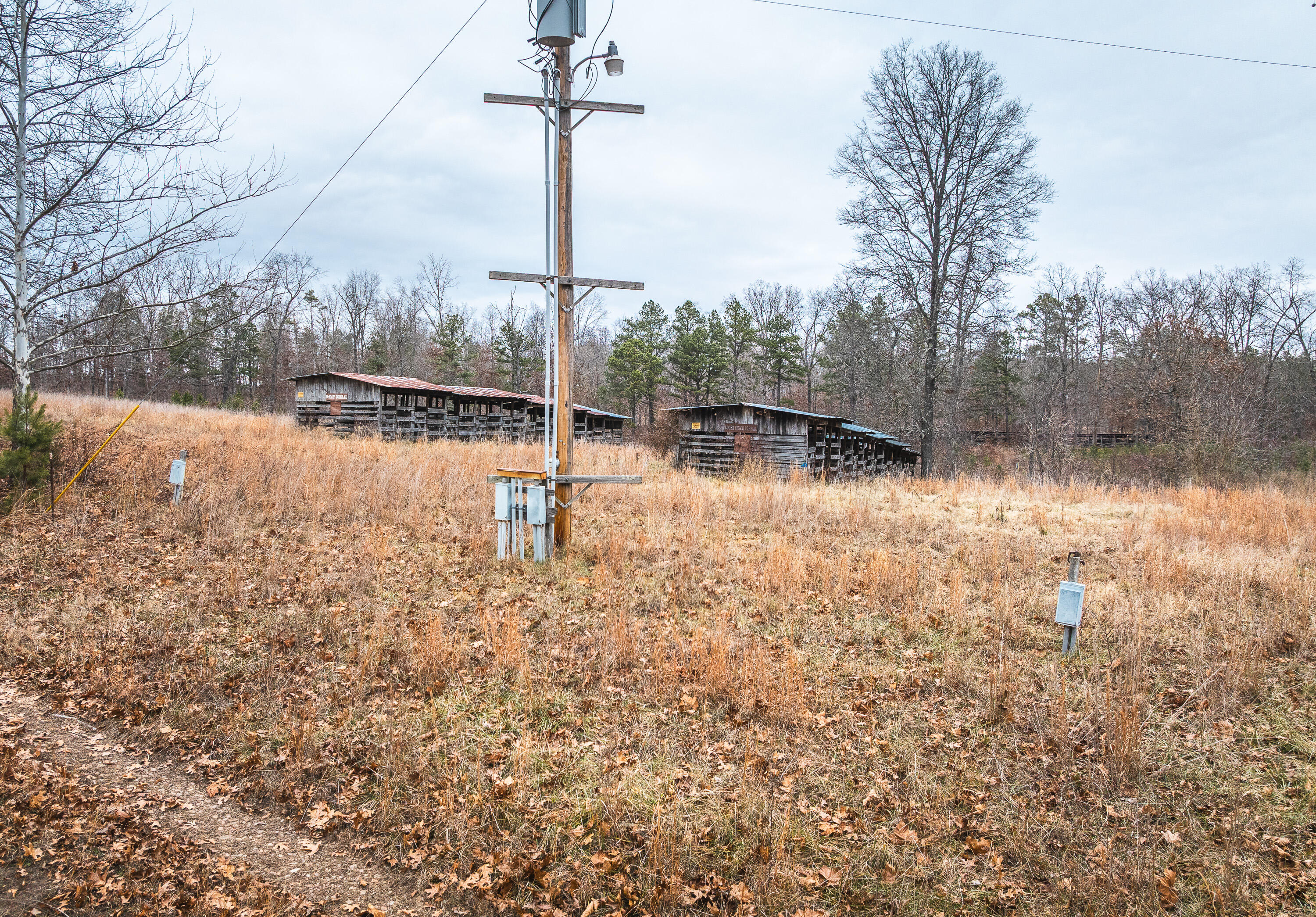 000 Golden Drive Property Photo 27