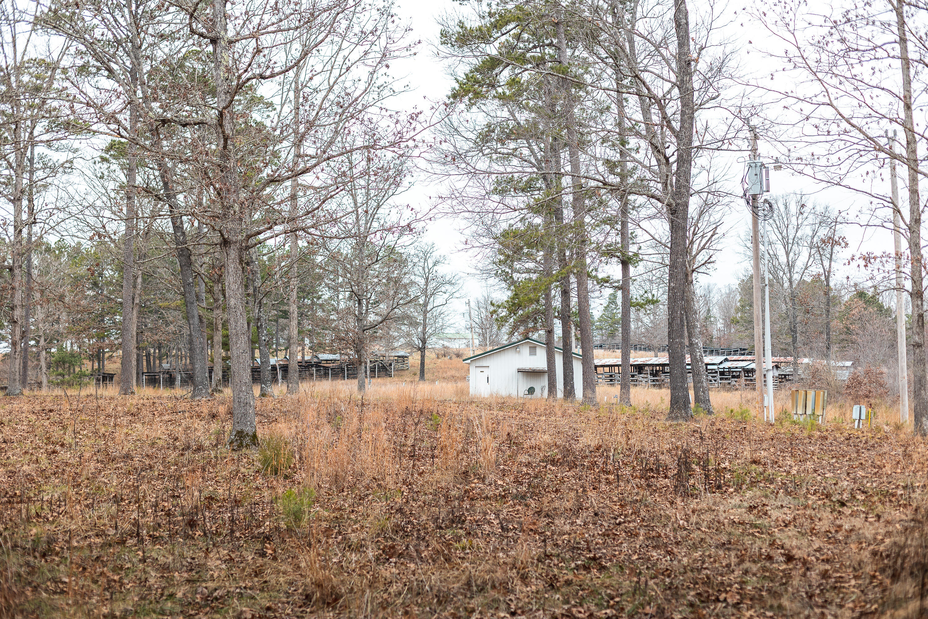 000 Golden Drive Property Photo 38