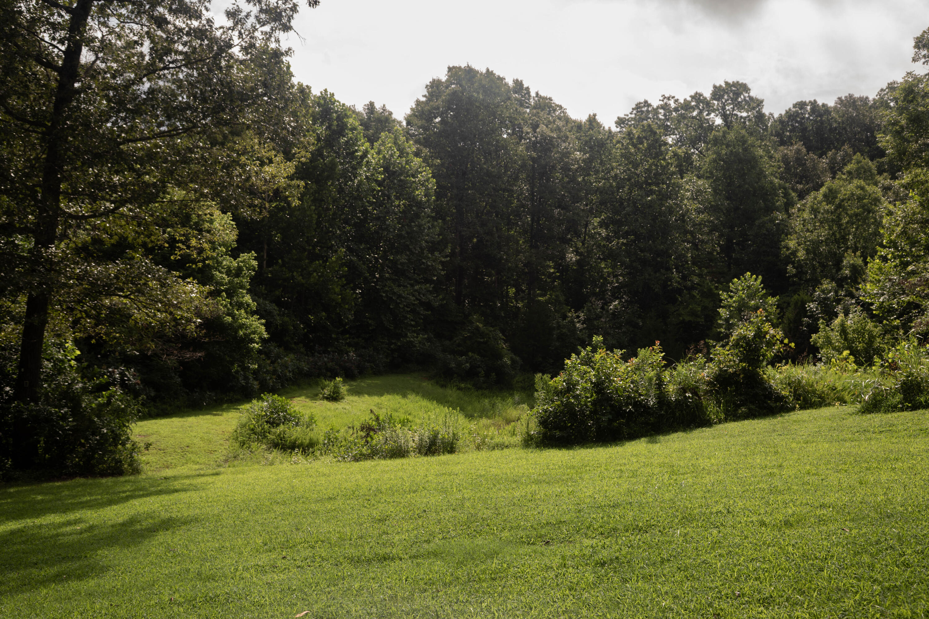 1023 Timber Ridge Road Property Photo 56
