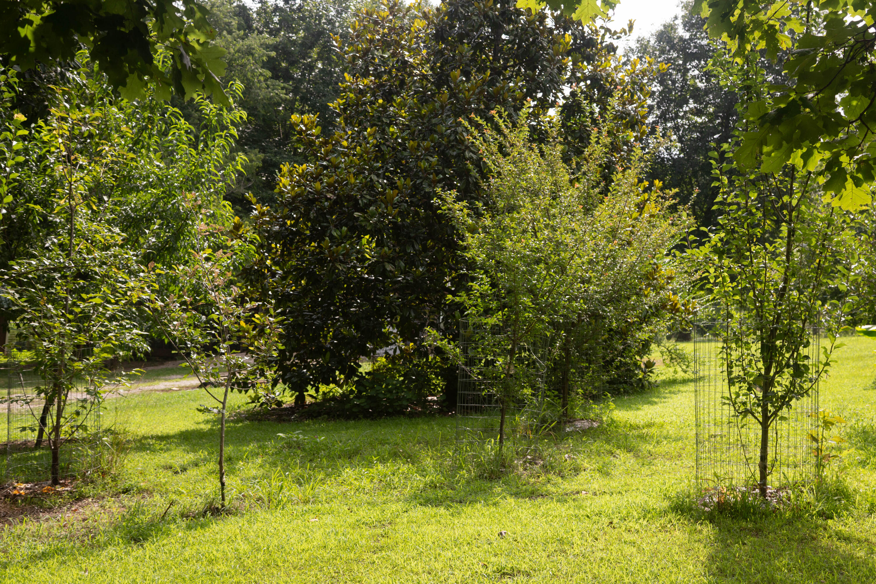 1023 Timber Ridge Road Property Photo 59