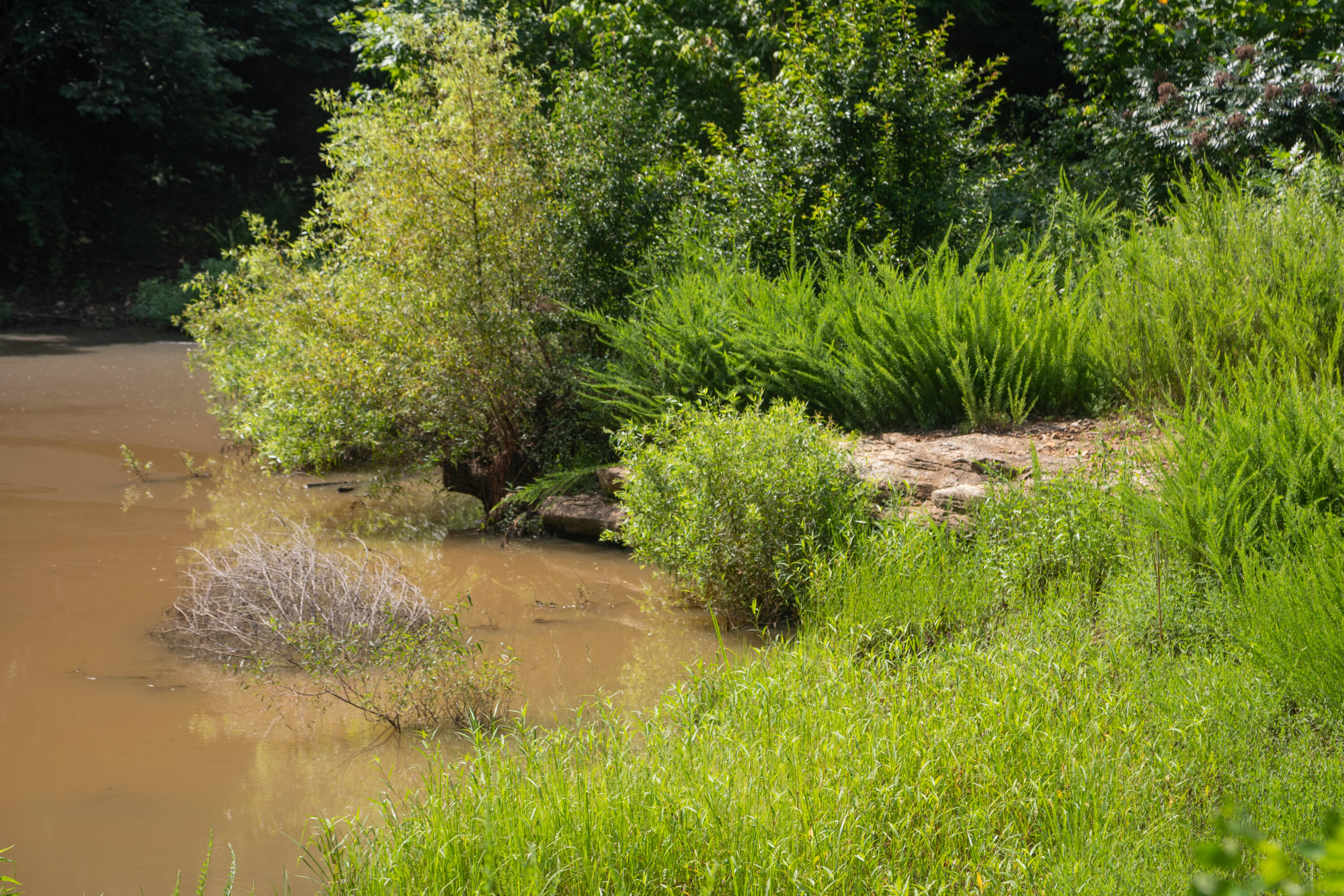1023 Timber Ridge Road Property Photo 62