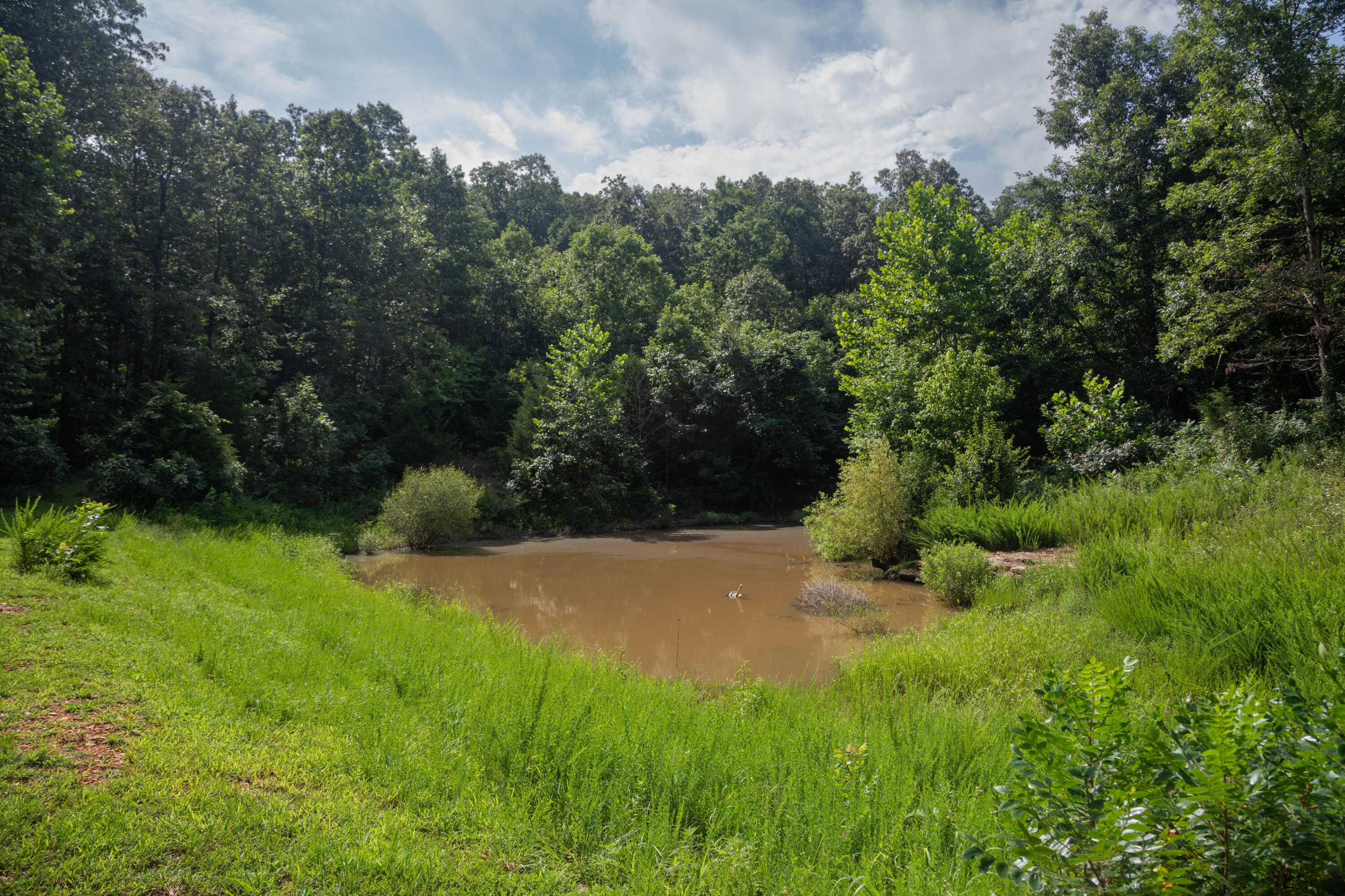 1023 Timber Ridge Road Property Photo 63