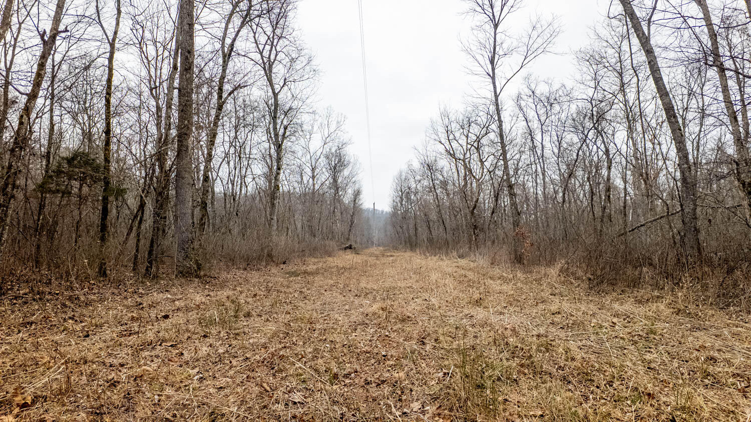 000 County Road 19-a Property Photo 6