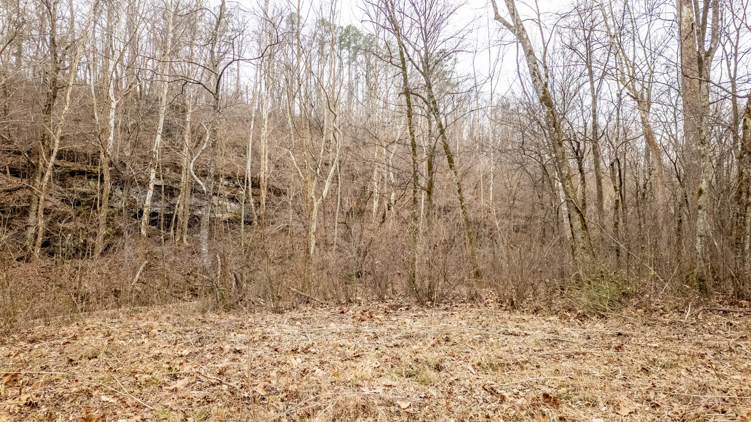000 County Road 19-a Property Photo 7