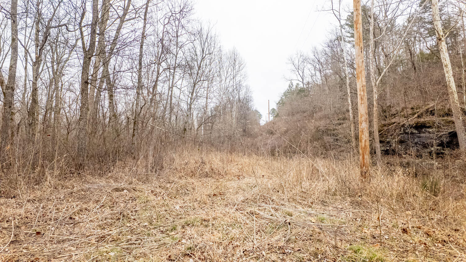 000 County Road 19-a Property Photo 9
