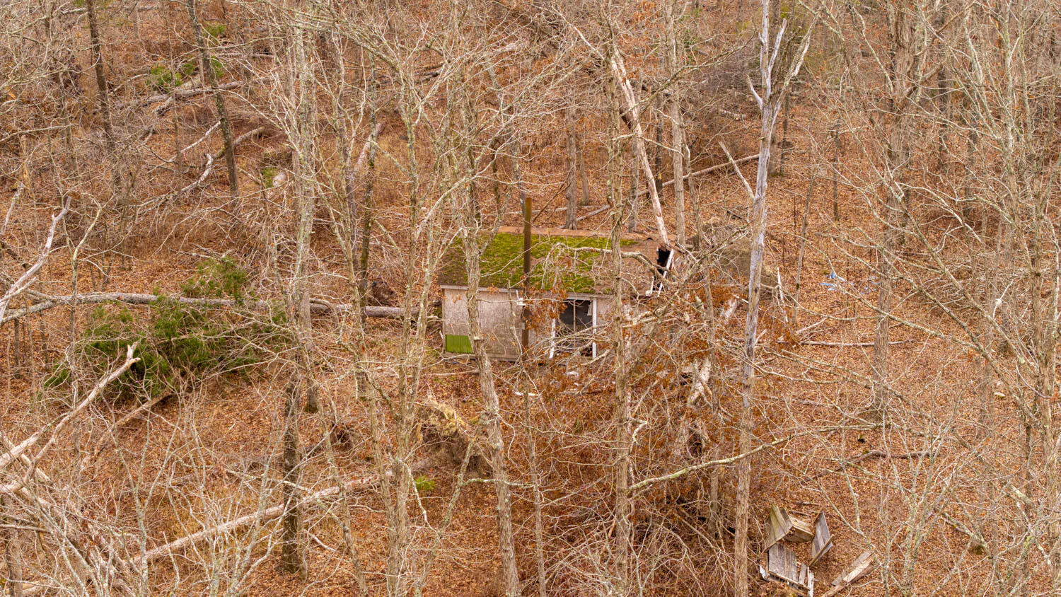 000 County Road 19-a Property Photo 15
