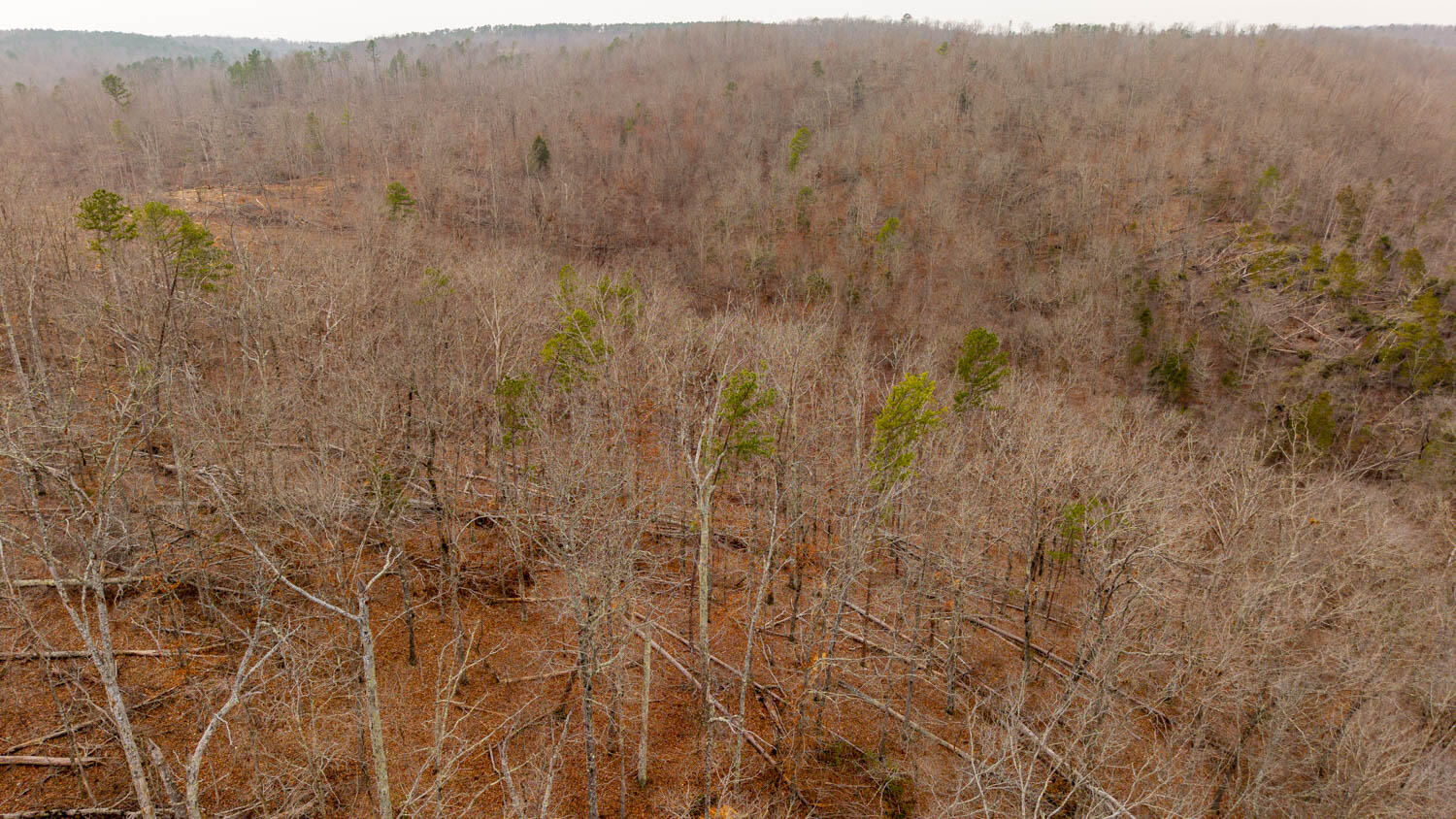 000 County Road 19-a Property Photo 17