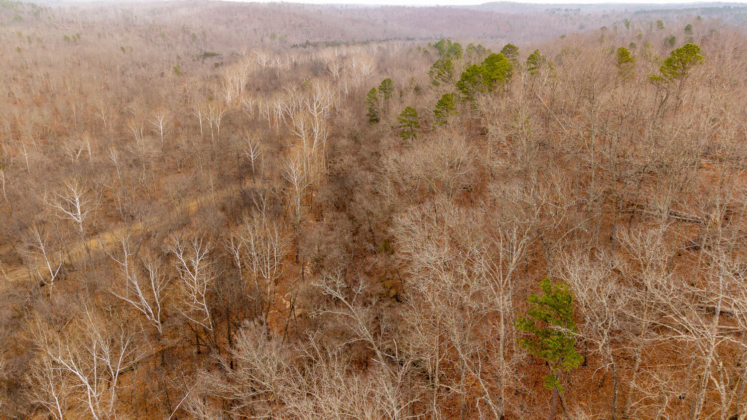 000 County Road 19-a Property Photo 19