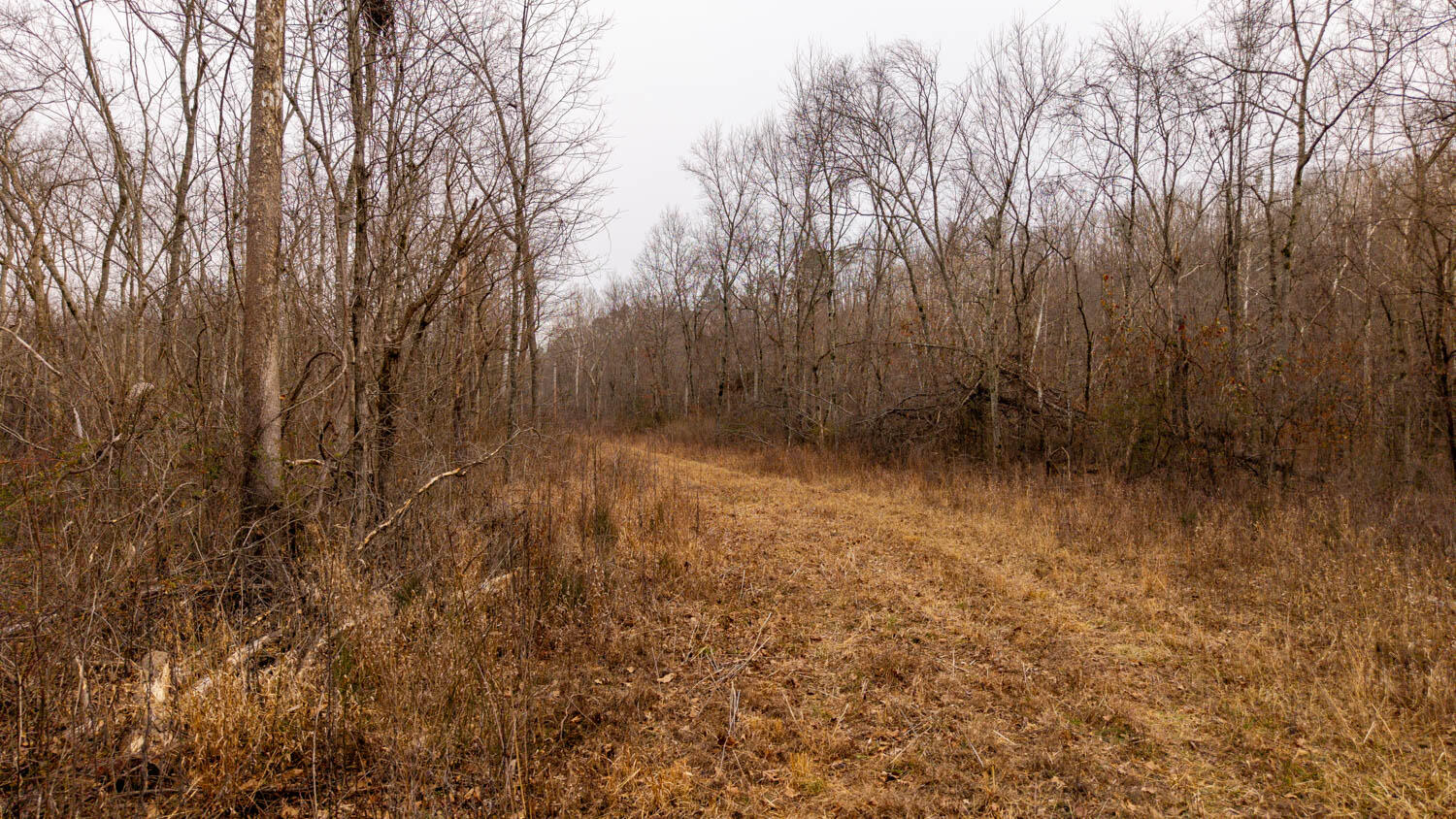 000 County Road 19-a Property Photo 24