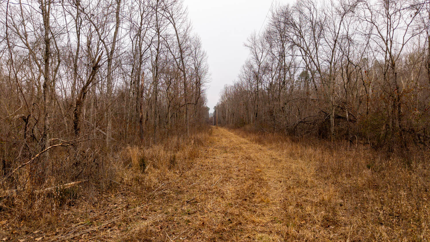 000 County Road 19-a Property Photo 25