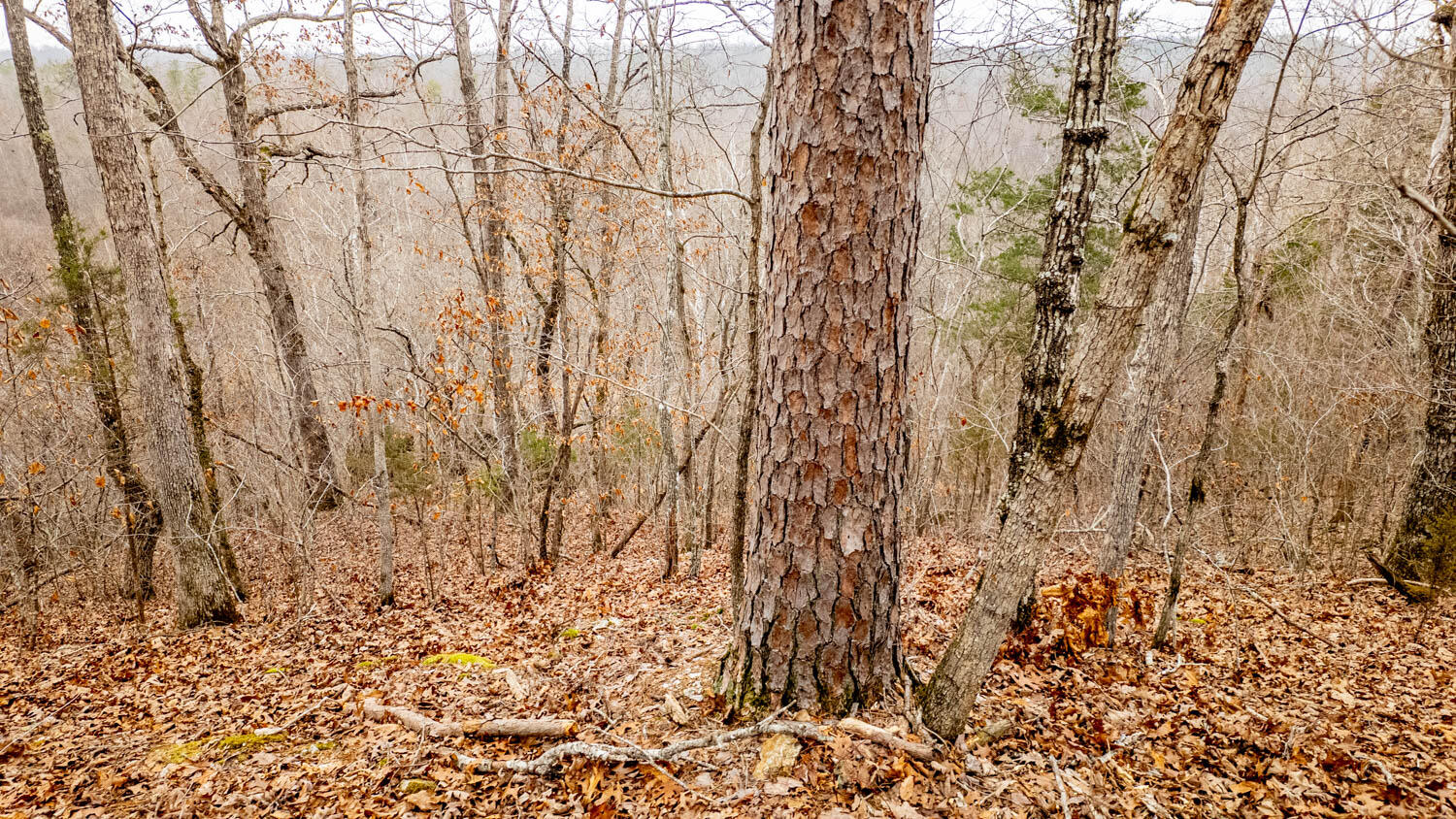 000 County Road 19-a Property Photo 27