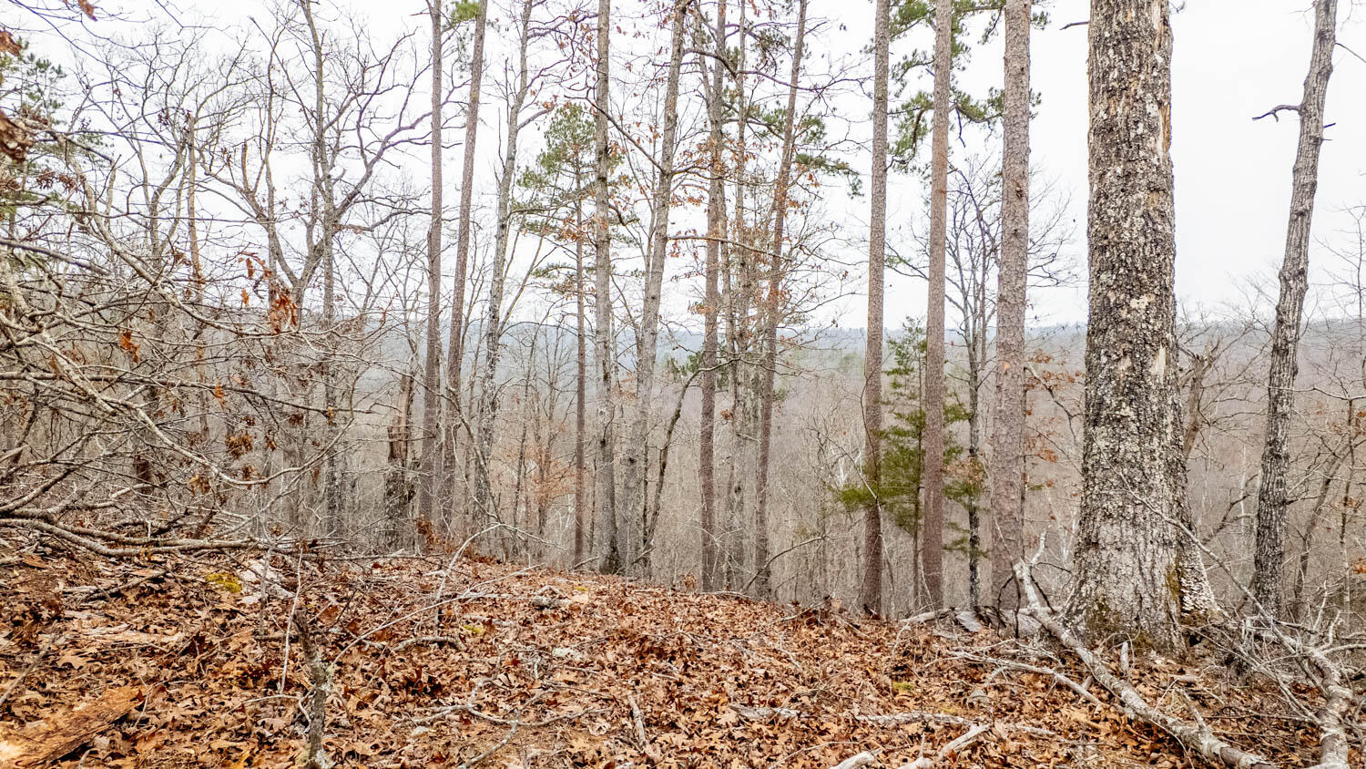 000 County Road 19-a Property Photo 28