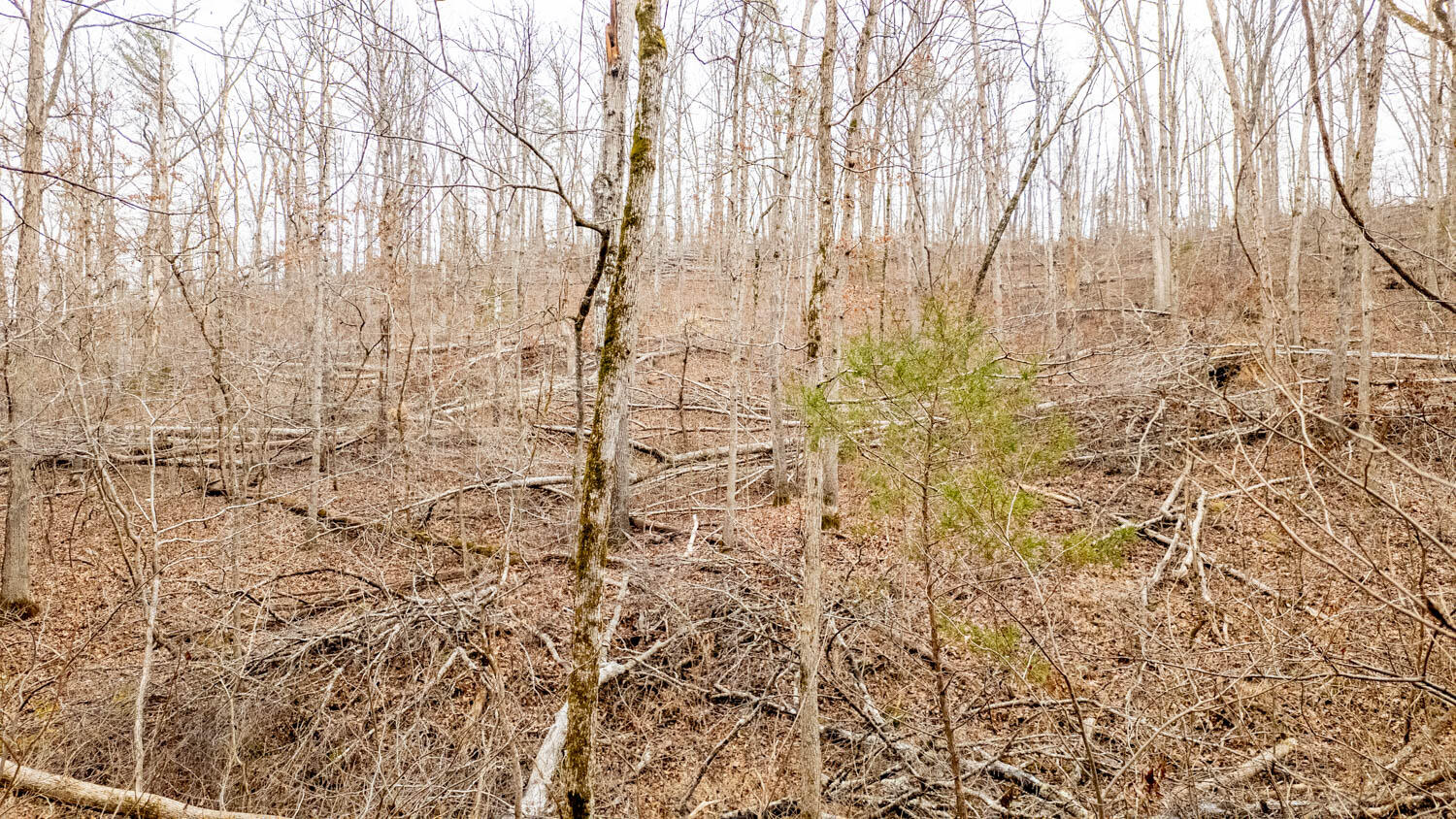 000 County Road 19-a Property Photo 33