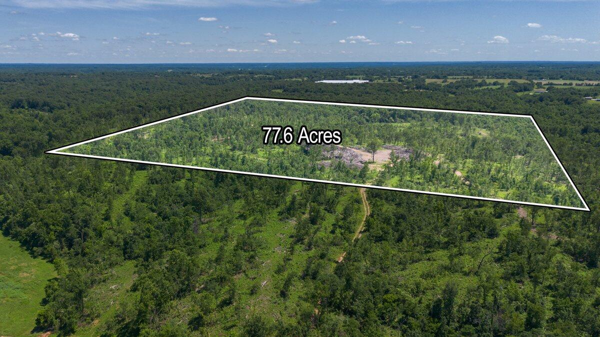 Lot 2 Adams Road Property Photo 3