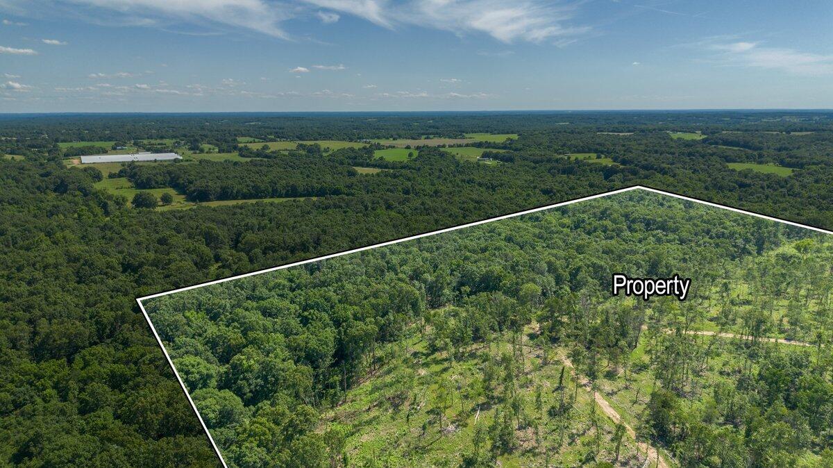 Lot 2 Adams Road Property Photo 5