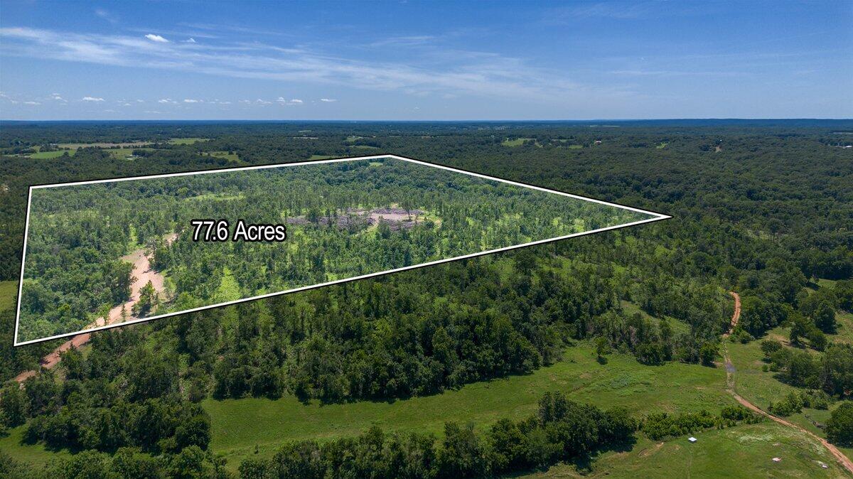 Lot 2 Adams Road Property Photo 6