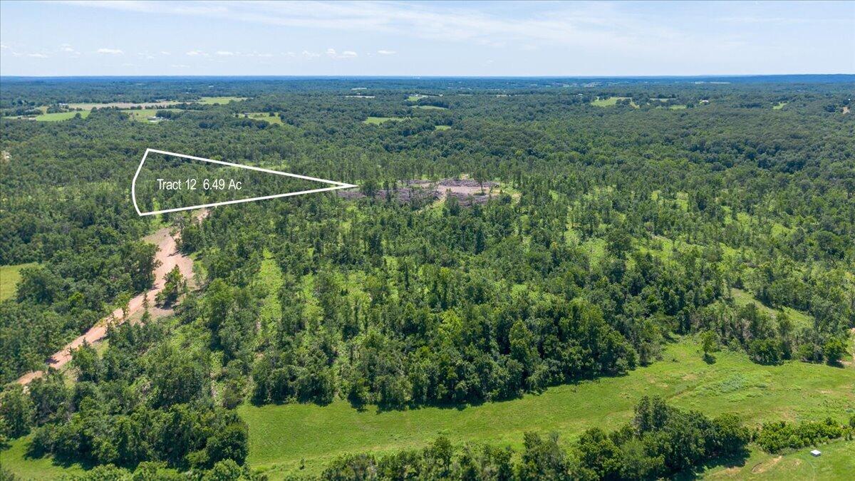Lot 12 Adams Road Property Photo 1