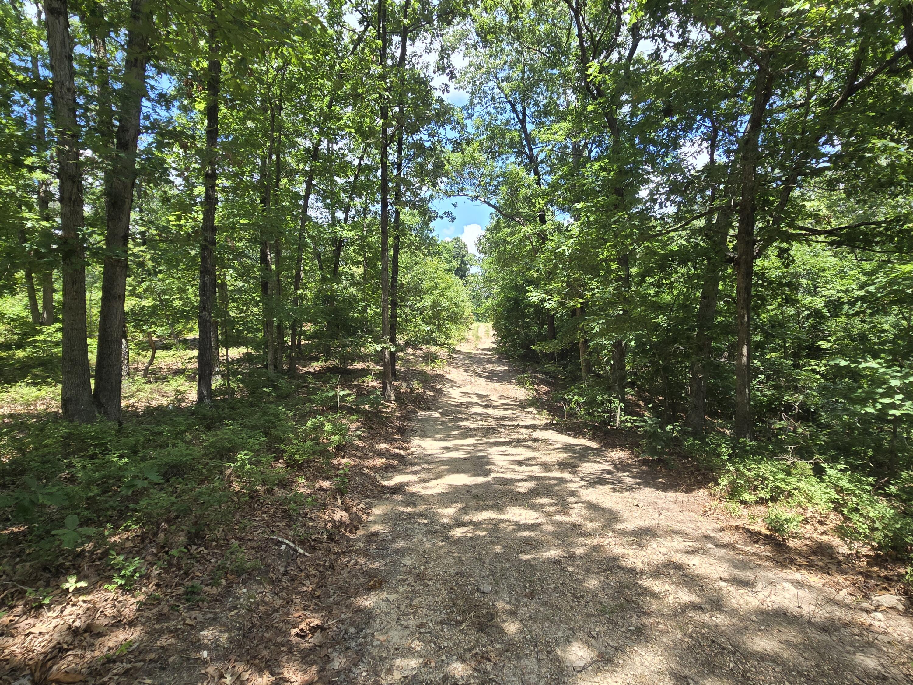 Tract 8 Highway C Property Photo 2