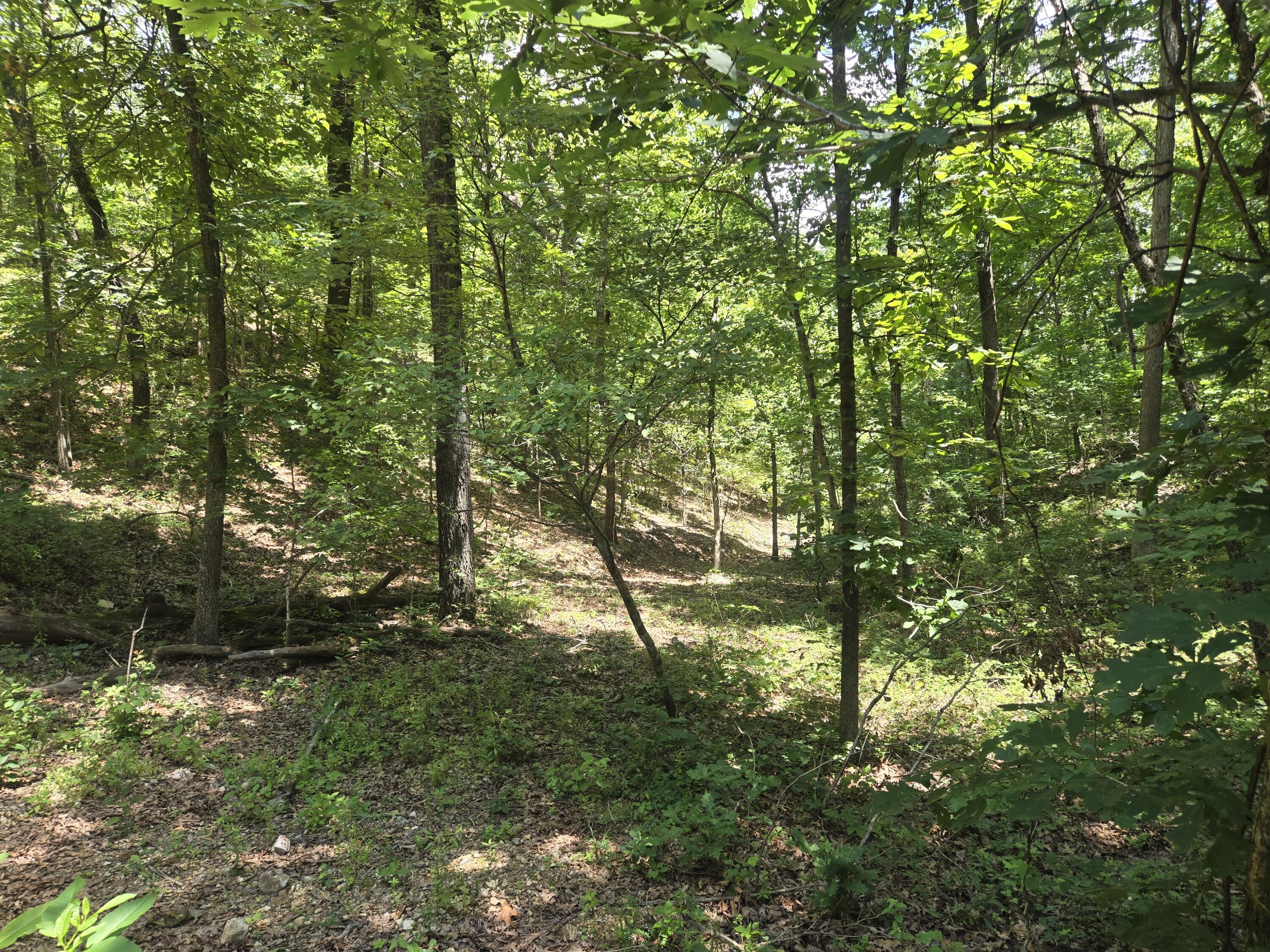 Tract 8 Highway C Property Photo 4