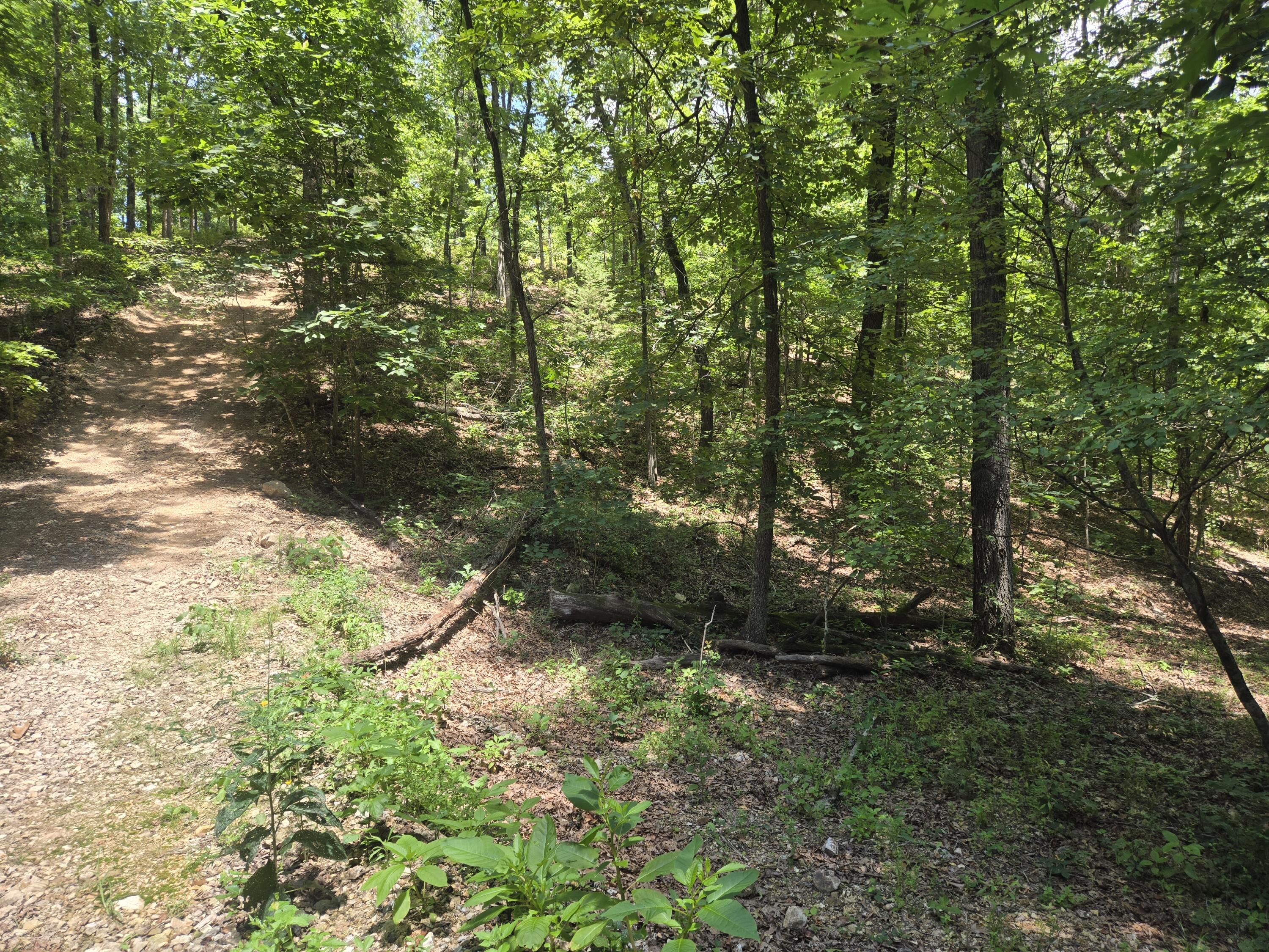 Tract 8 Highway C Property Photo 5