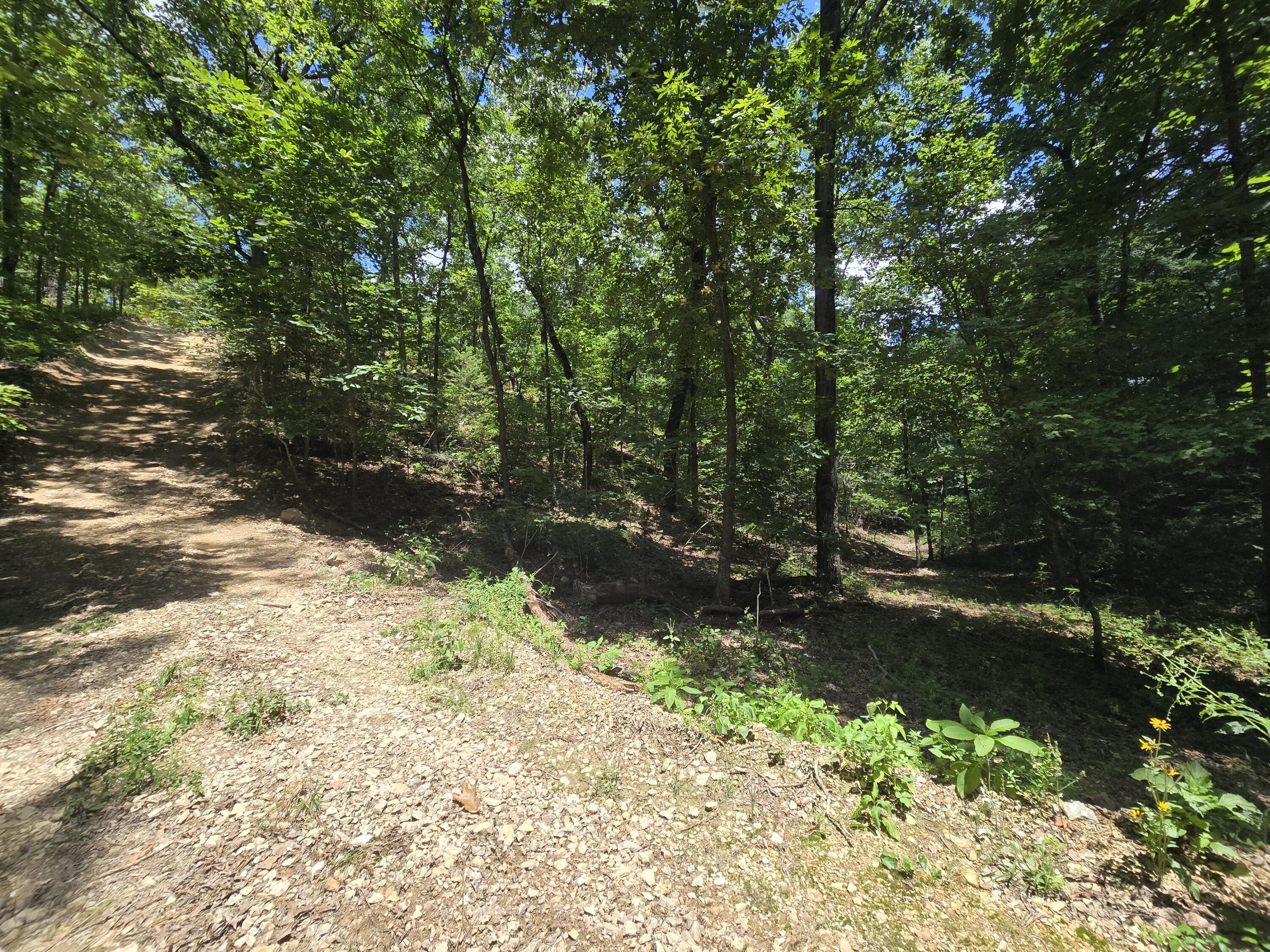 Tract 8 Highway C Property Photo 6