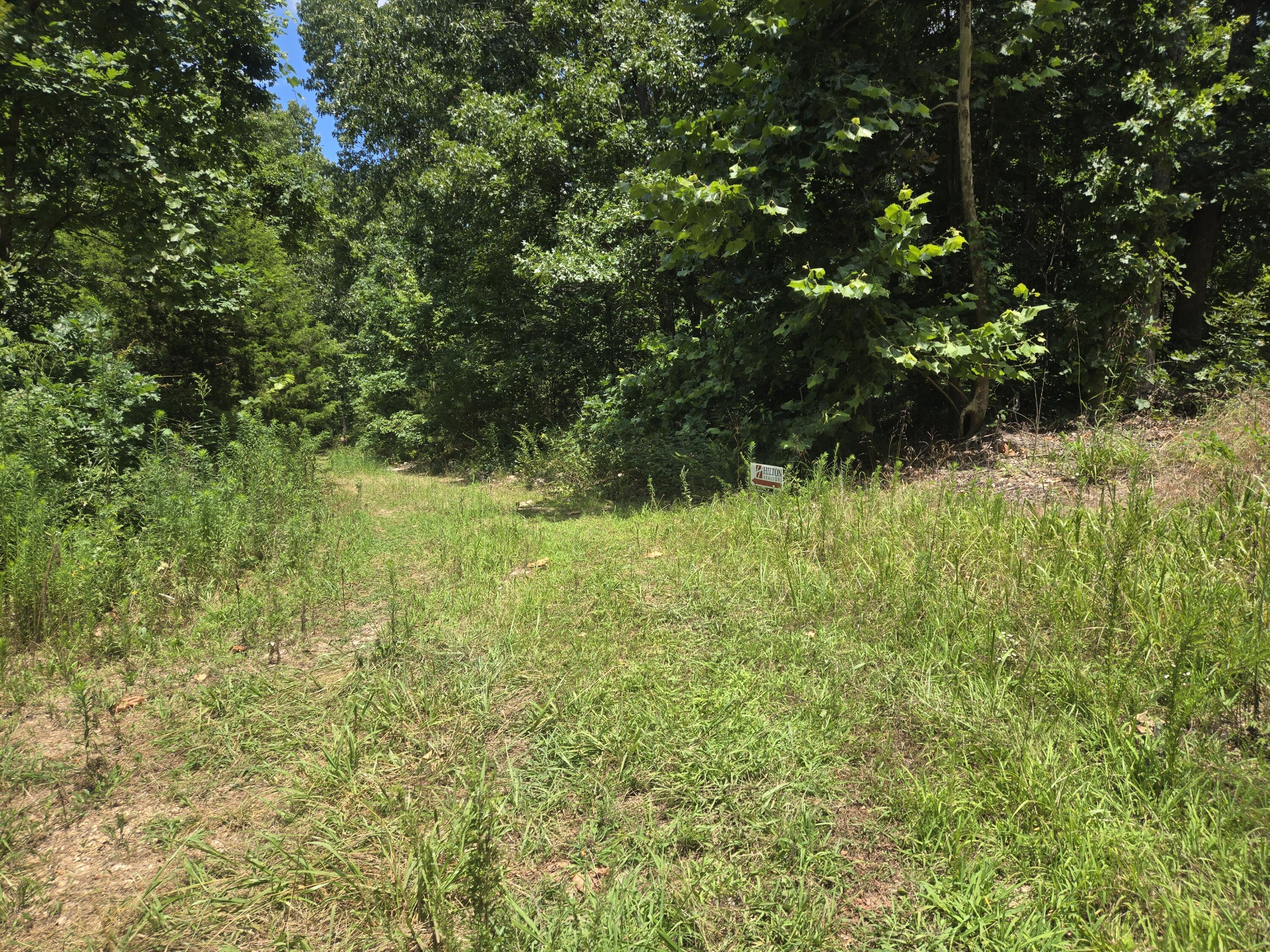 Tract 8 Highway C Property Photo 8