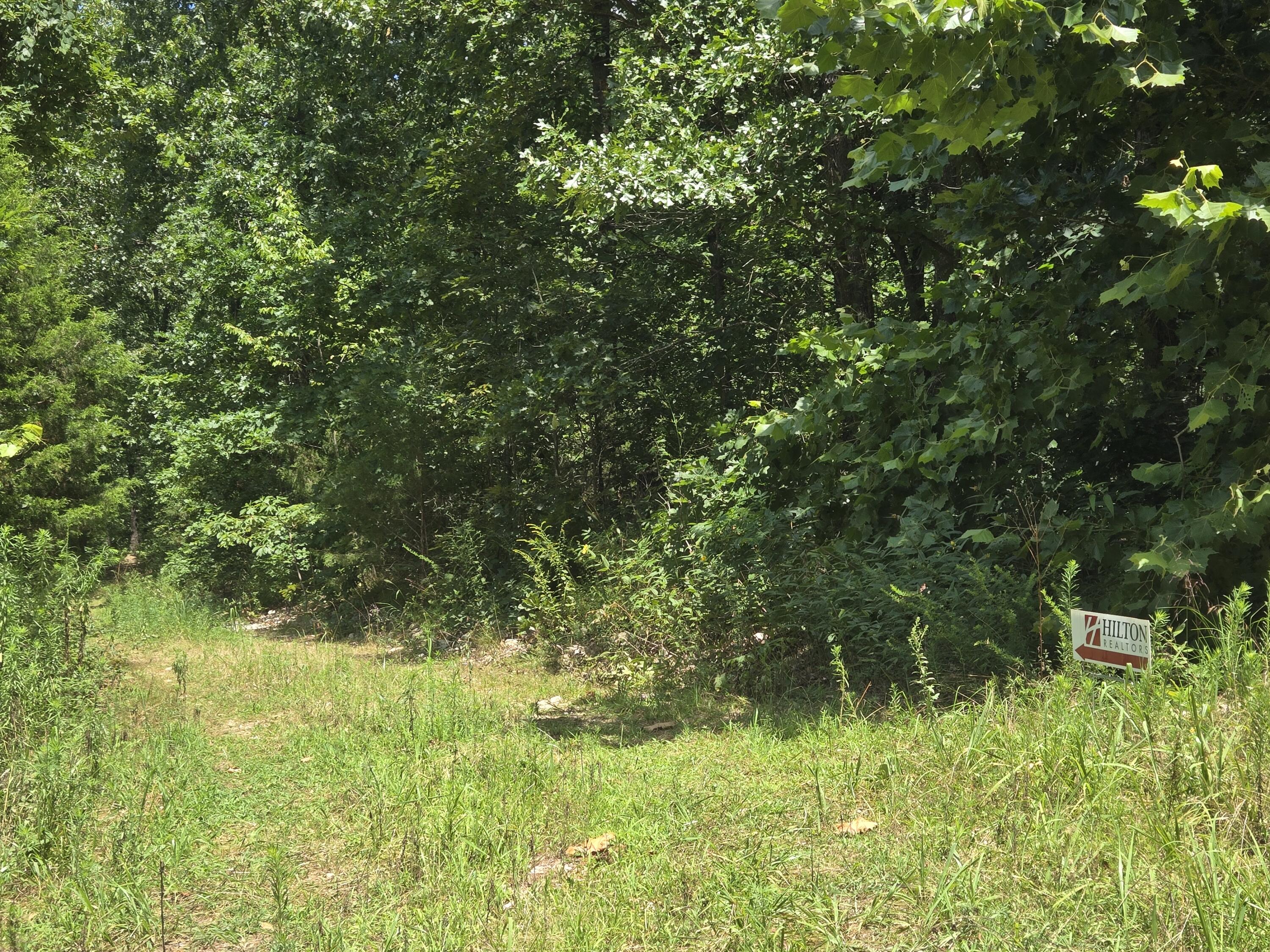 Tract 8 Highway C Property Photo 9