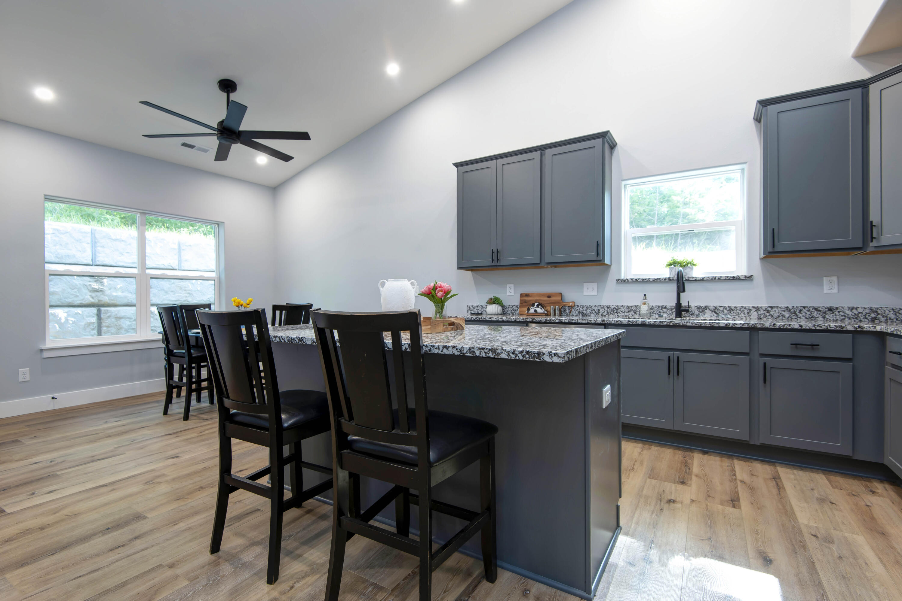 1049 Hanging Branch Ridge Property Photo 2