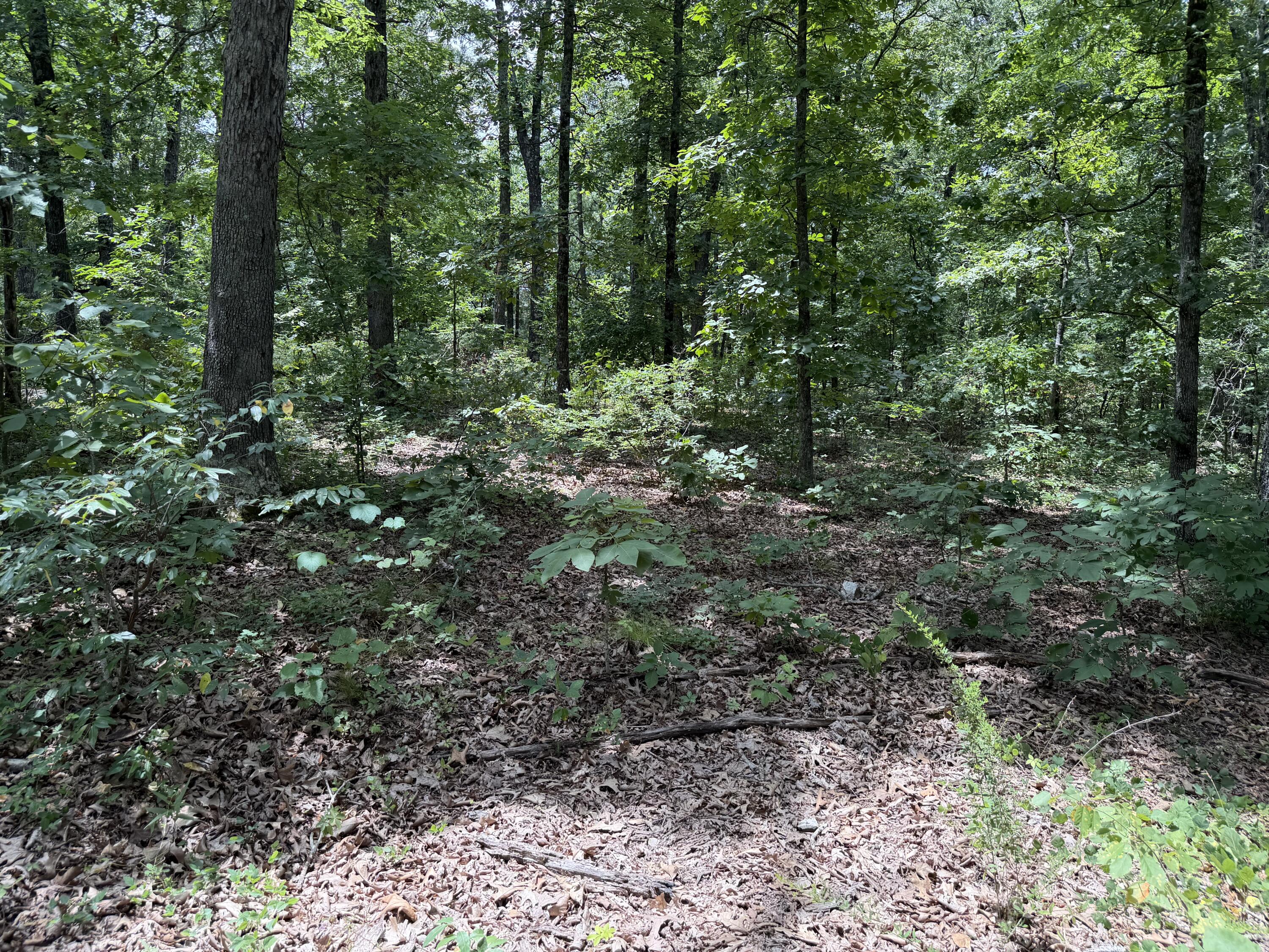 000 State Hwy. 76 Property Photo 1