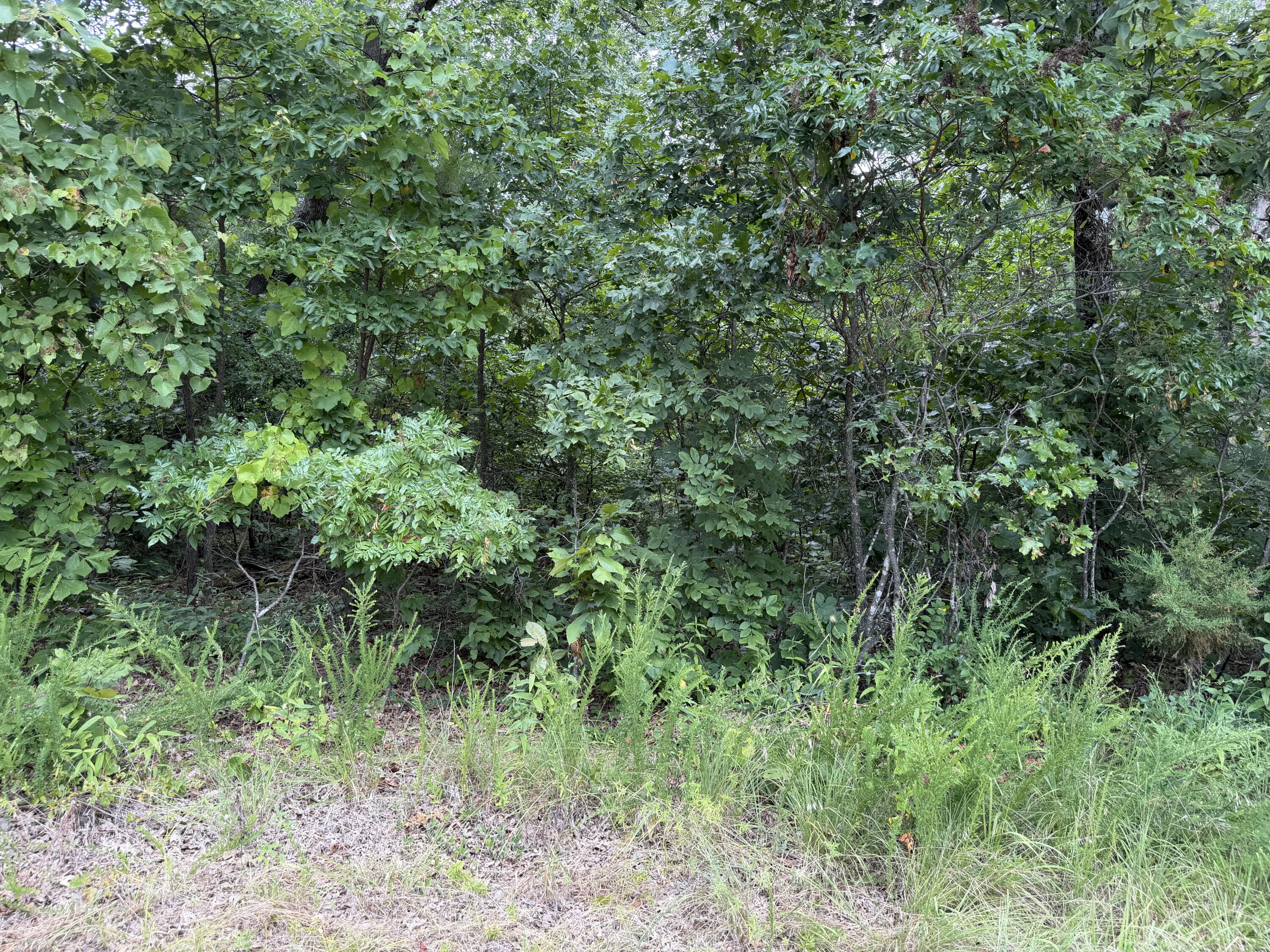 000 State Hwy. 76 Property Photo 2