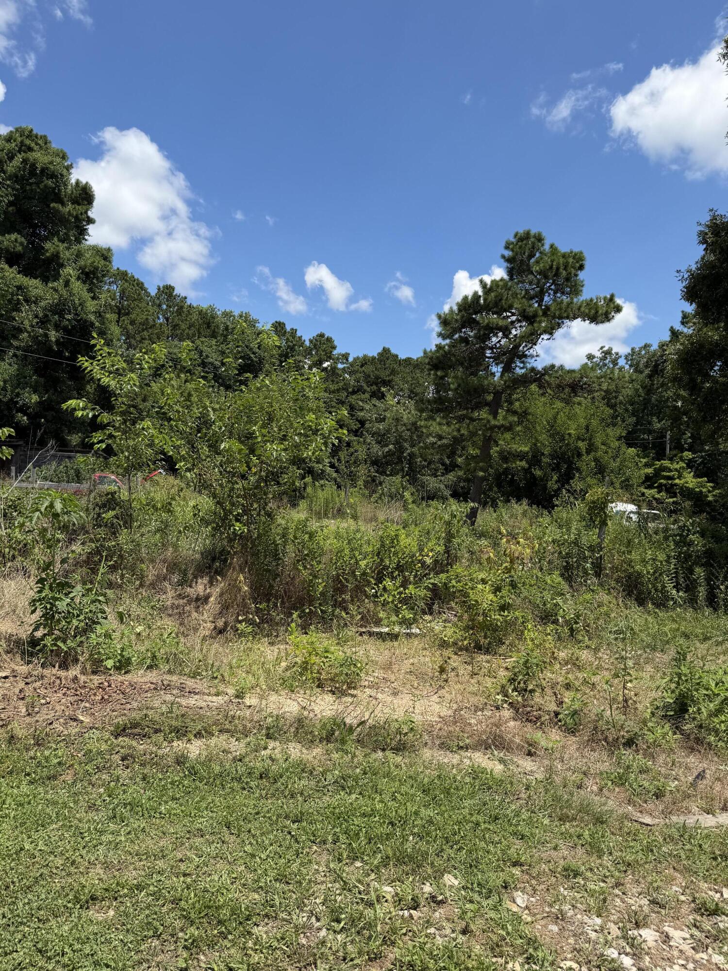 9468 Mo-19 Property Photo 30