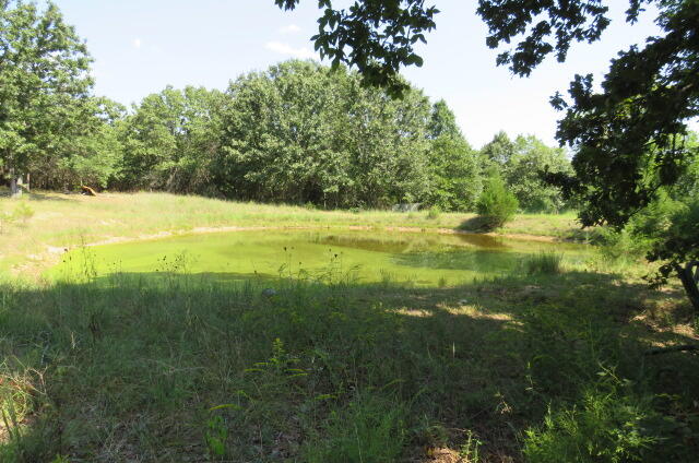 2005 Highway F Property Photo 41