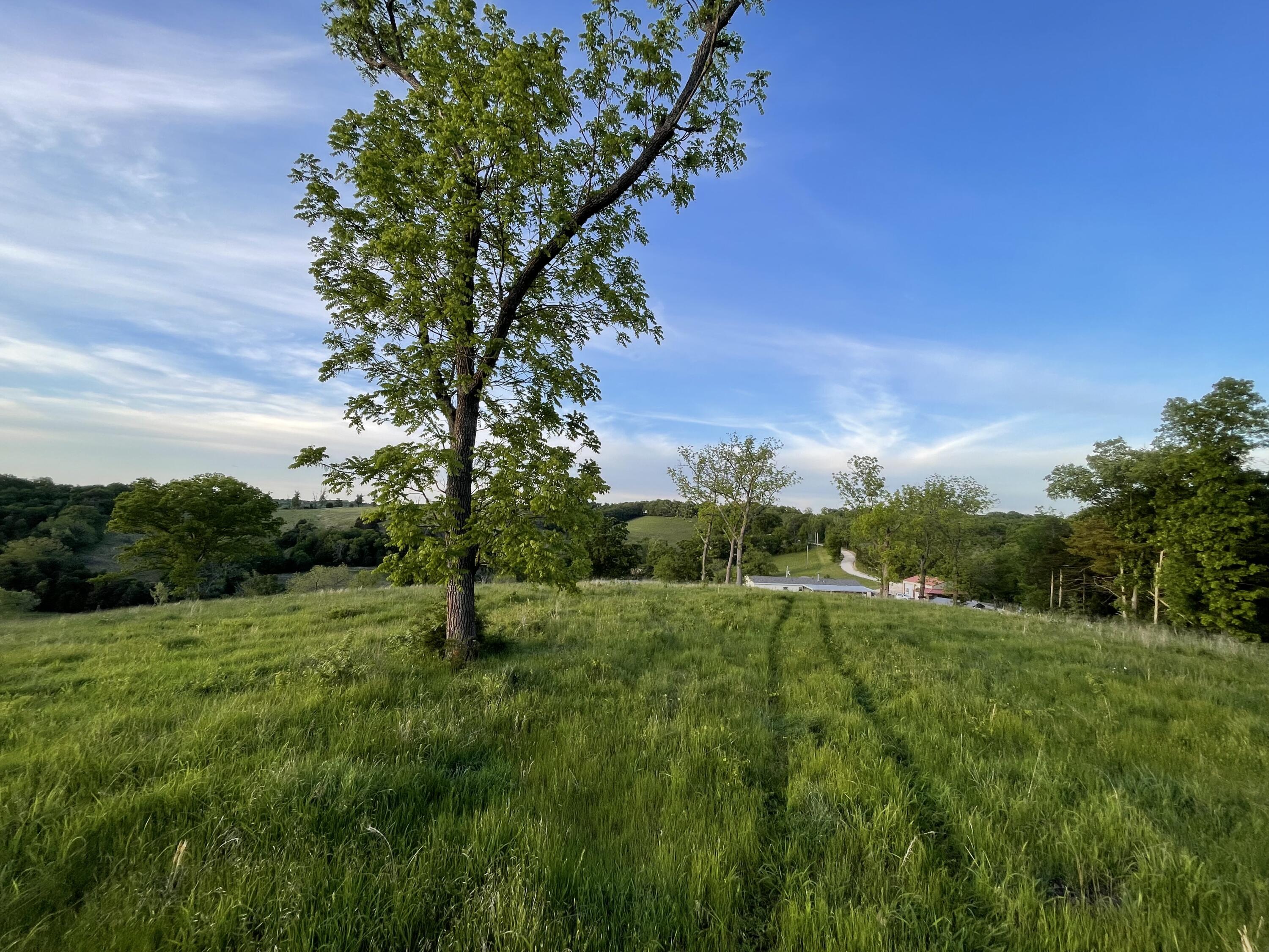 27196 Farm Road 2120 Property Photo 42