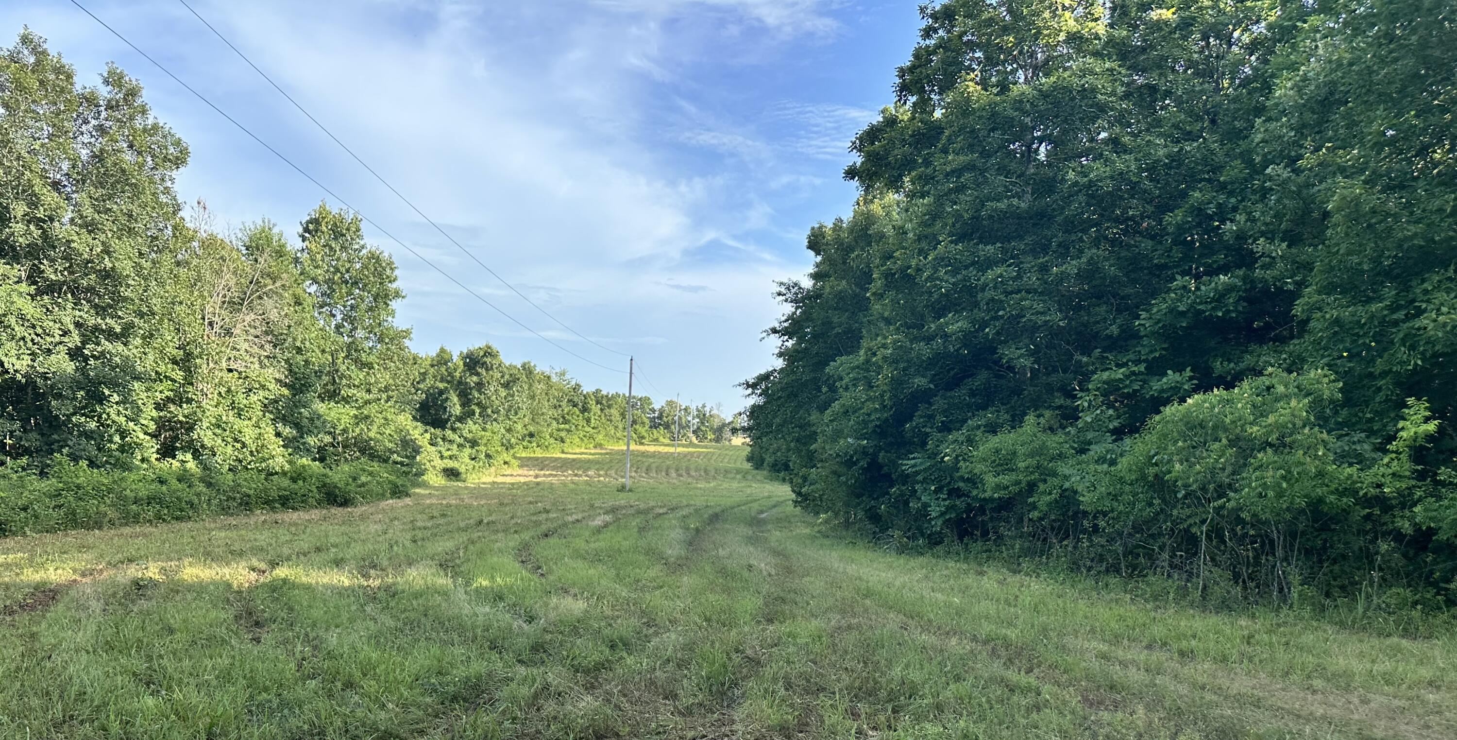 000 County Road 304 Property Photo 6
