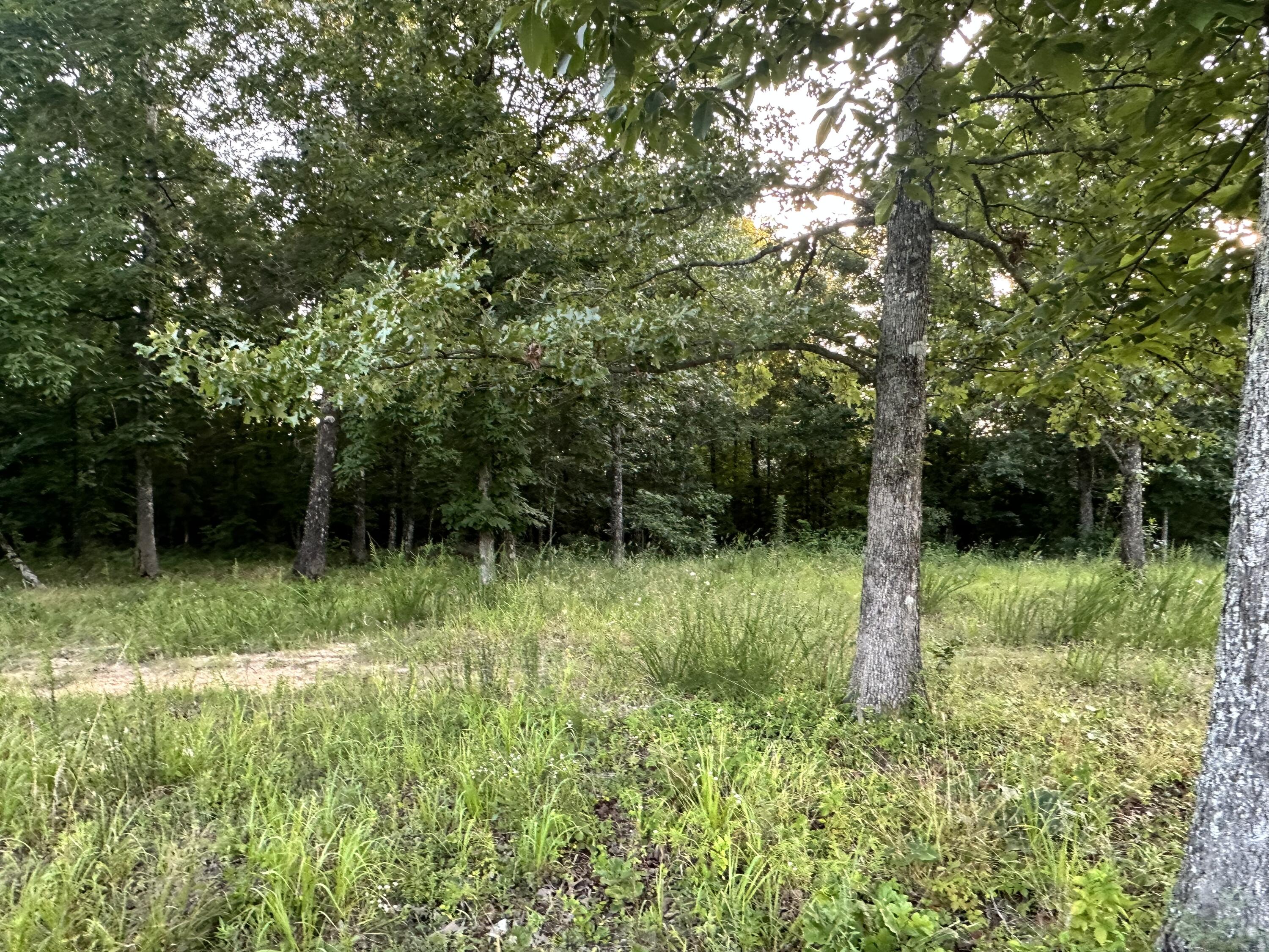 000 County Road 304 Property Photo 24