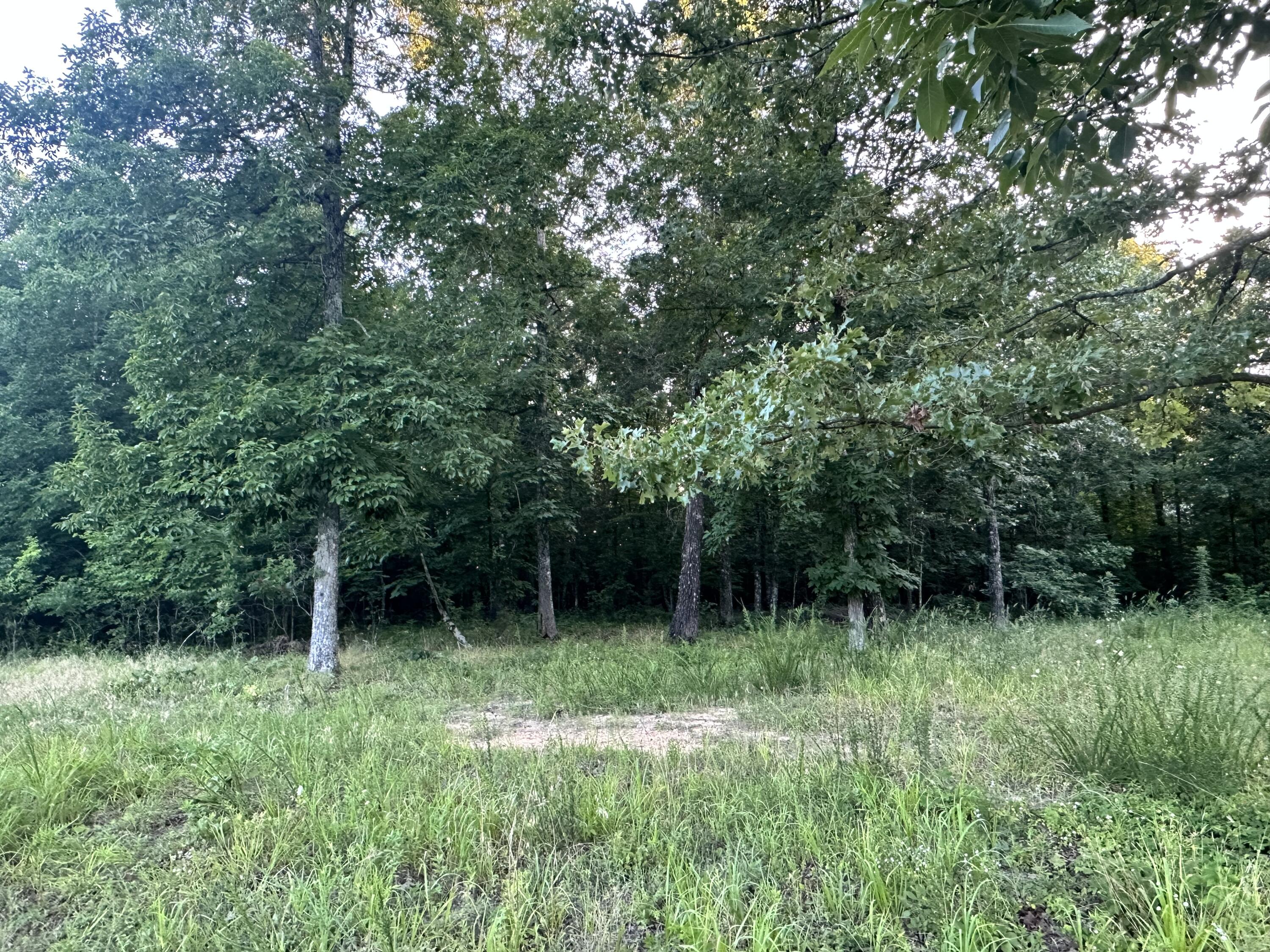 000 County Road 304 Property Photo 26